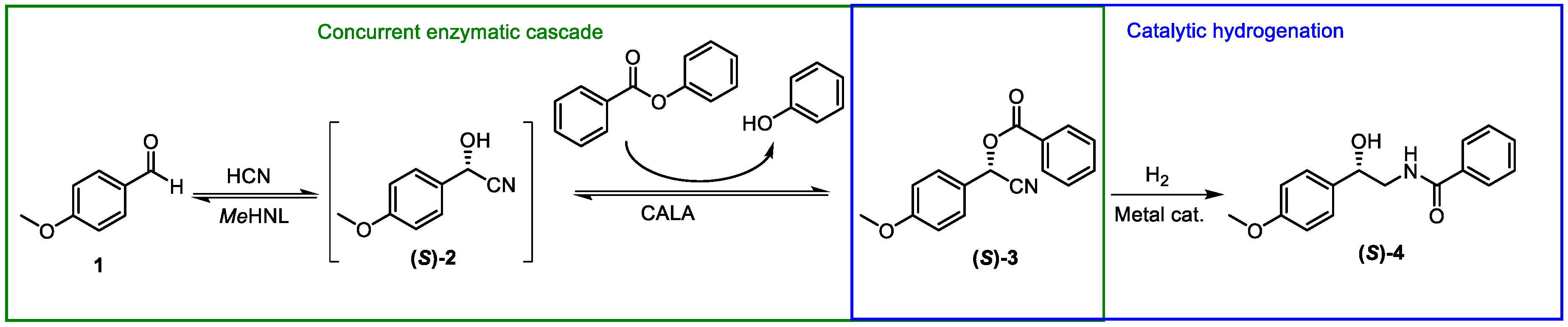 Catalysts 09 00822 sch001