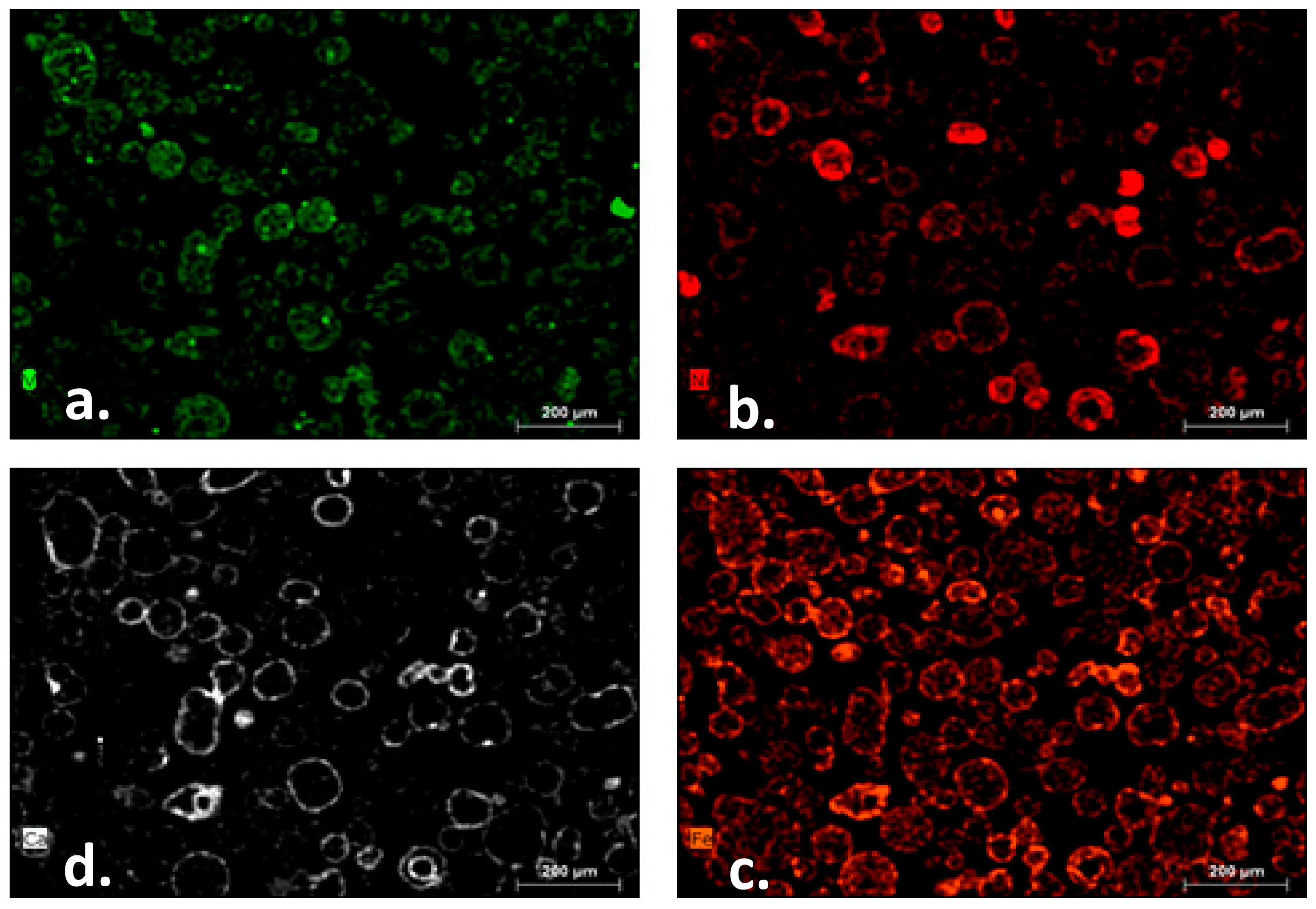 Catalysts 09 00831 g002
