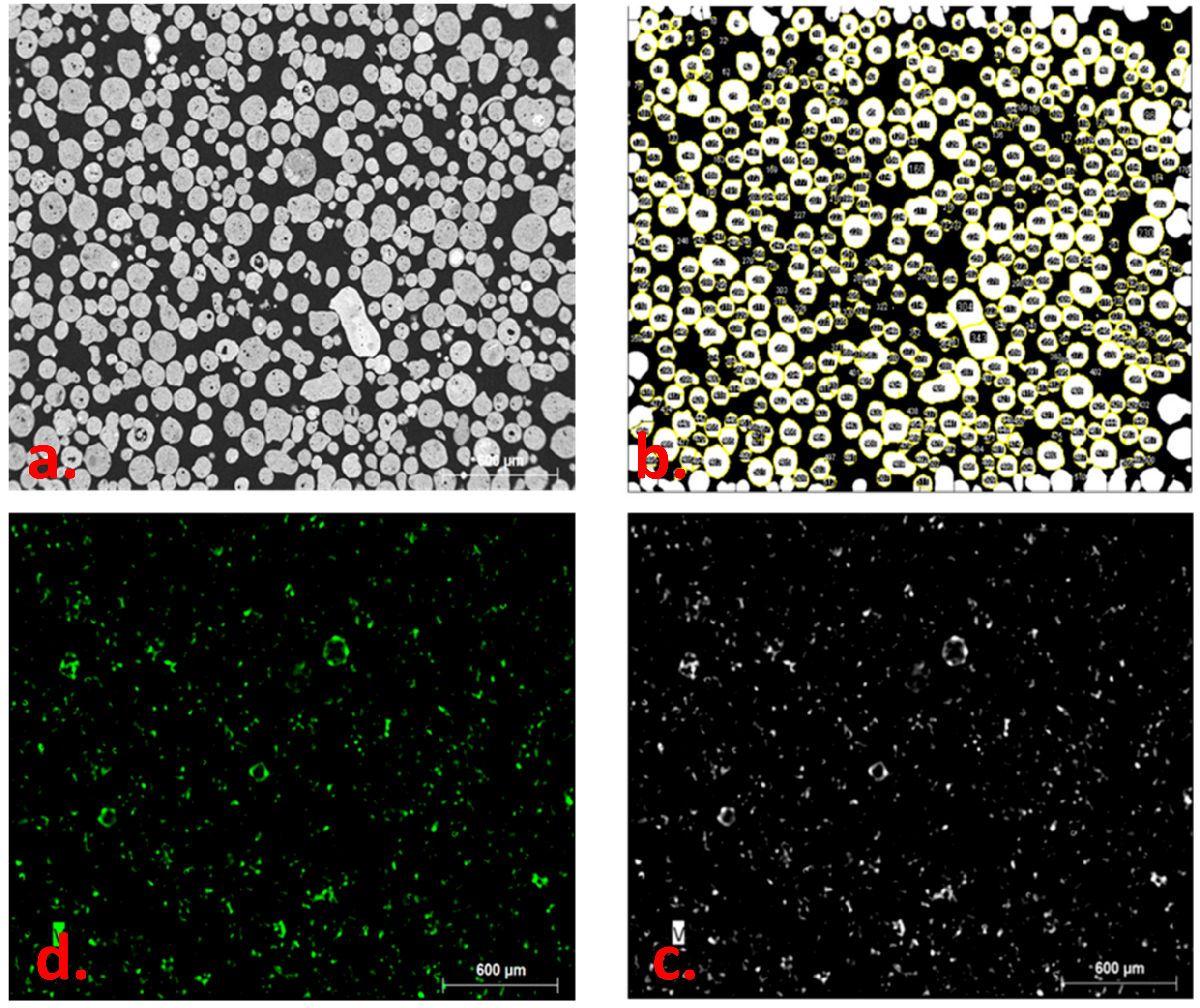 Catalysts 09 00831 g004