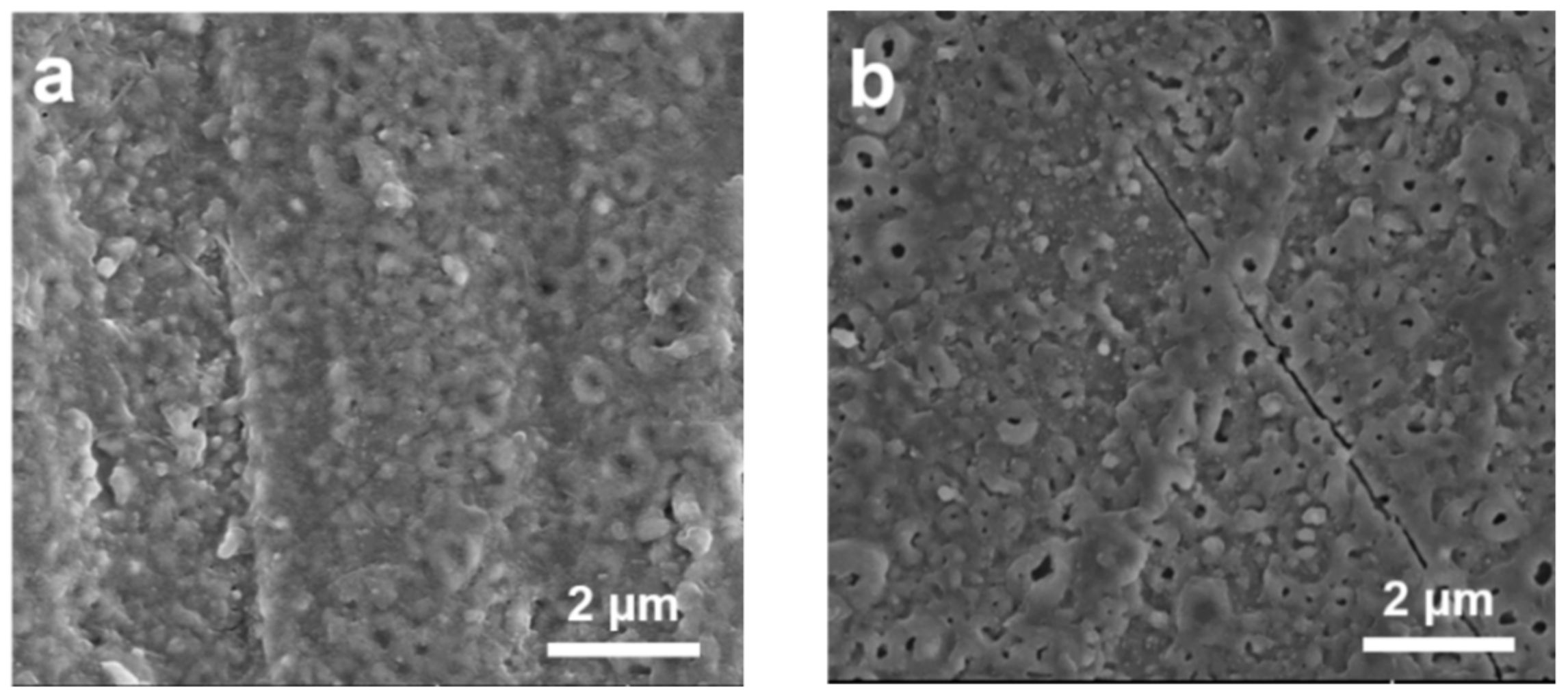Catalysts 09 00834 g002a