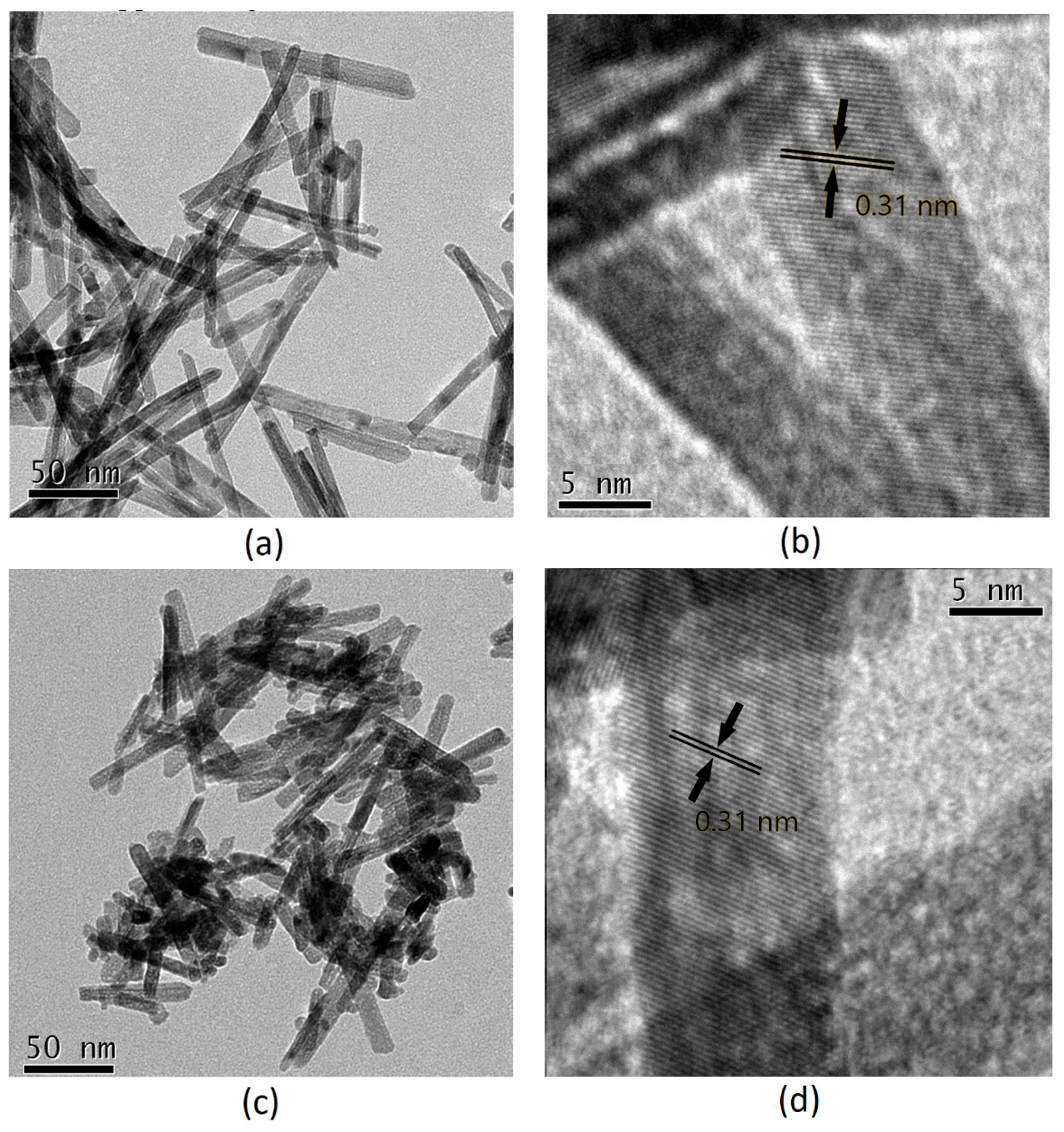 Catalysts 09 00847 g003 Catalysts 09 00847 g003