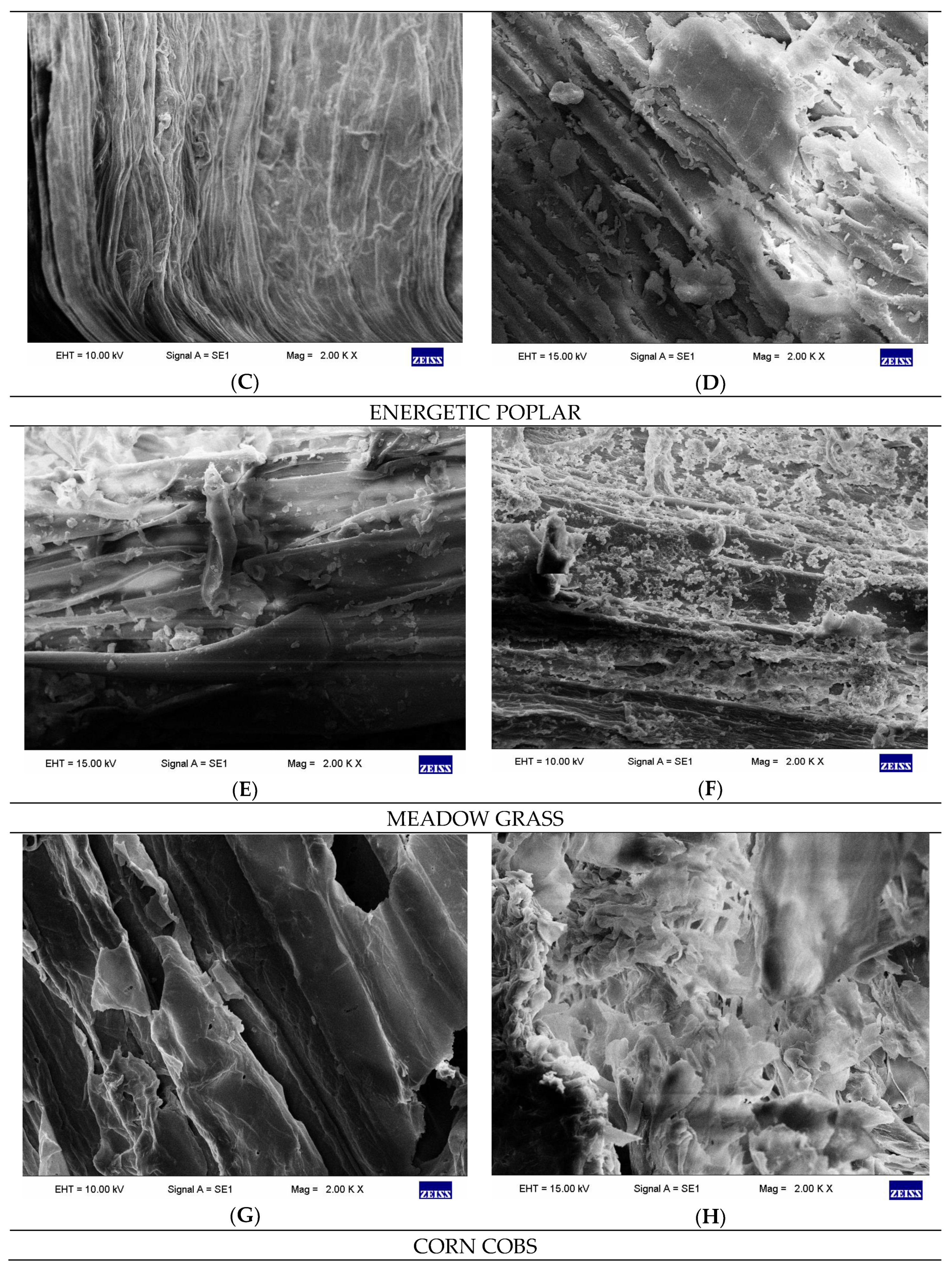 Catalysts 09 00858 g002b Catalysts 09 00858 g002b