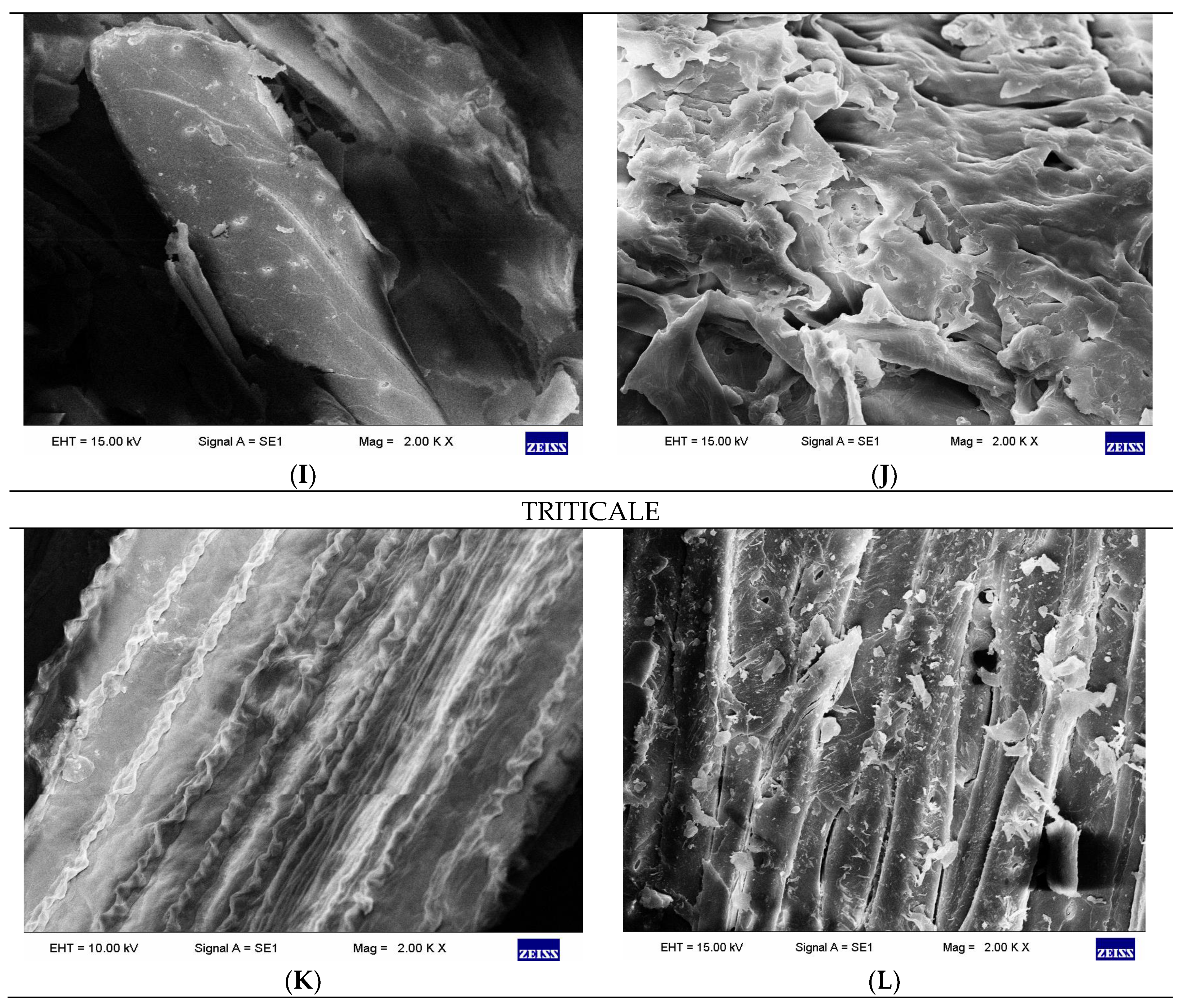 Catalysts 09 00858 g002c Catalysts 09 00858 g002c