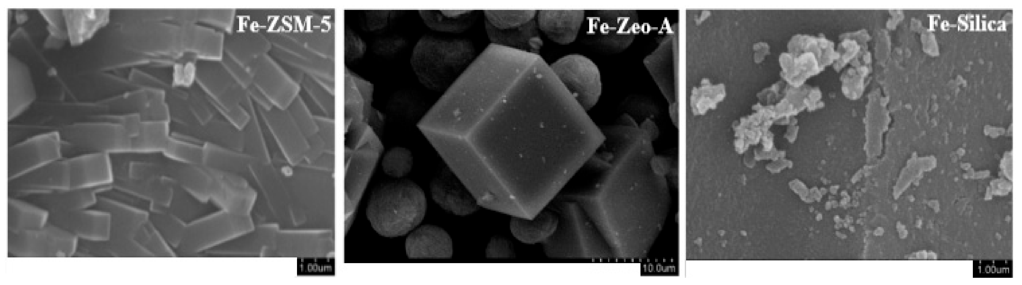 Catalysts 09 00859 g001