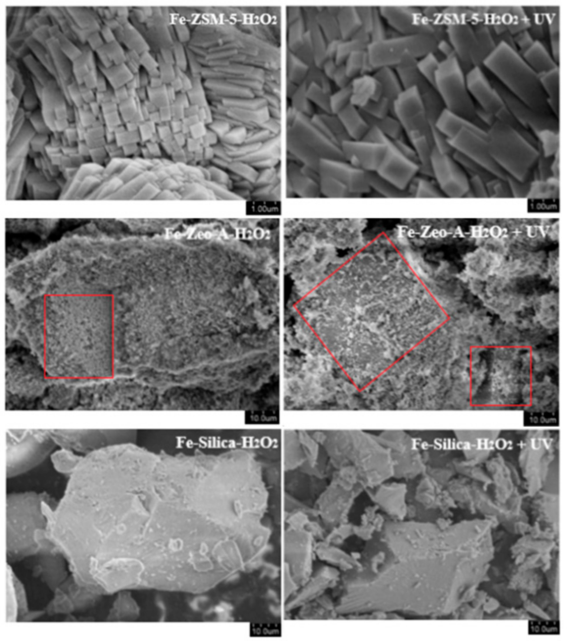Catalysts 09 00859 g008