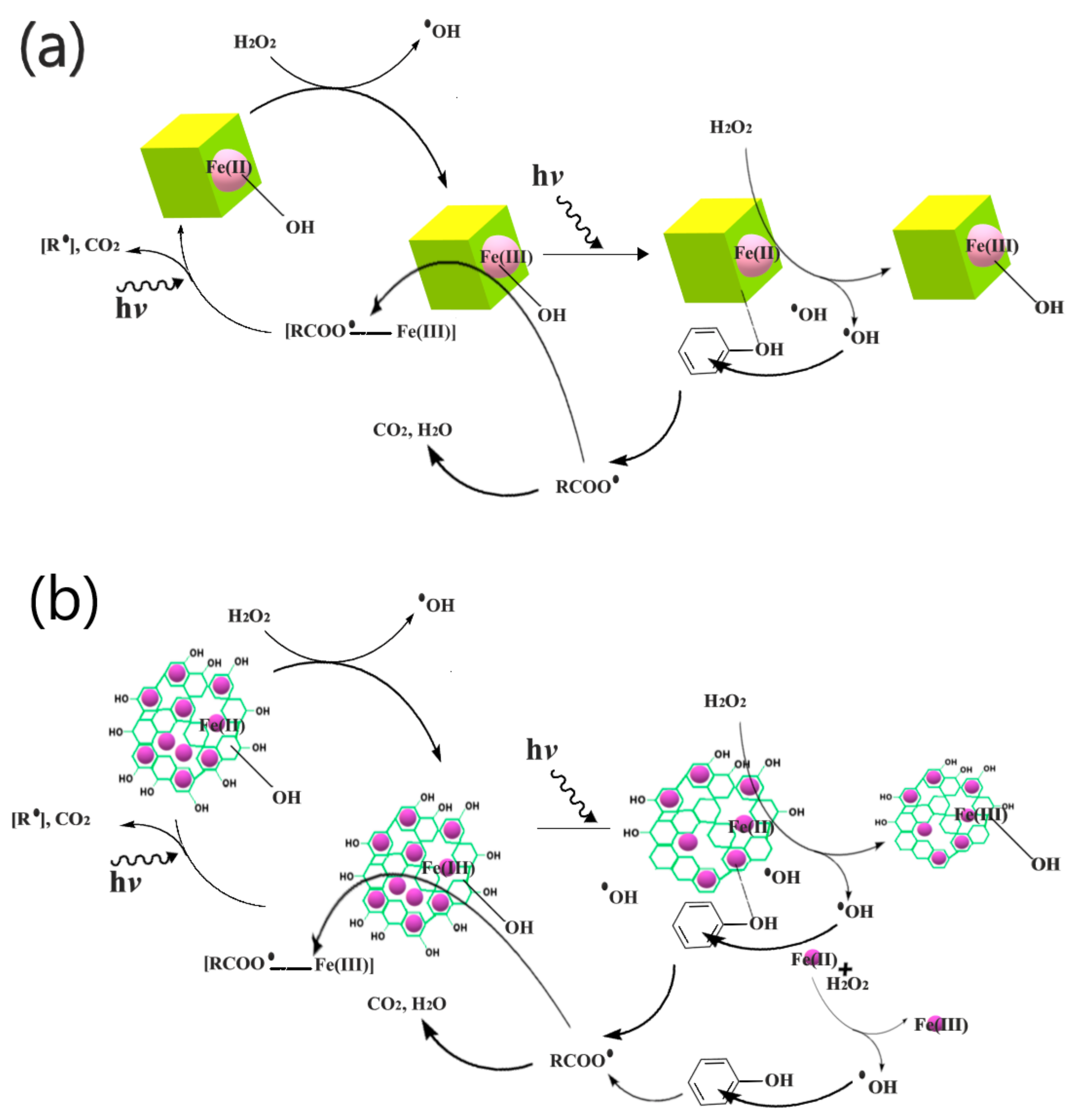 Catalysts 09 00859 g014