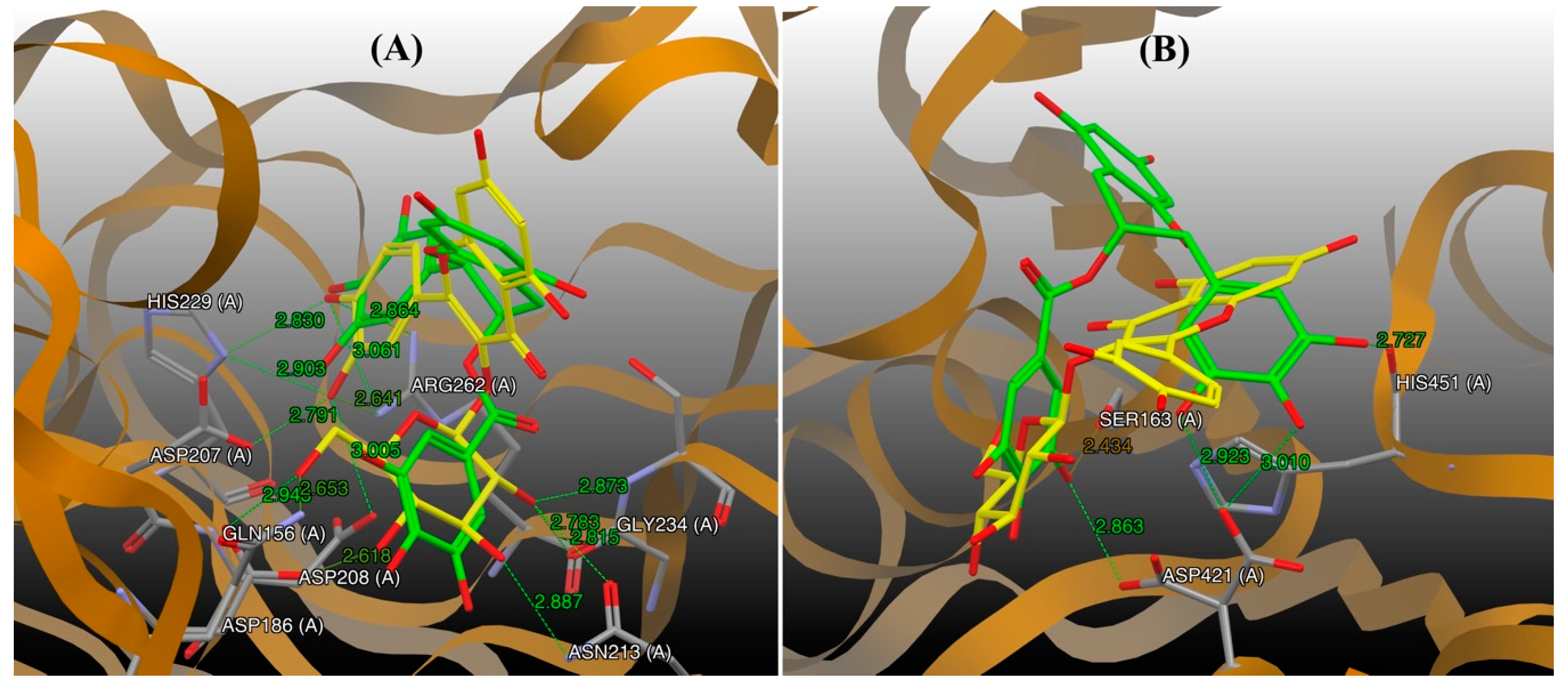 Catalysts 09 00861 g007