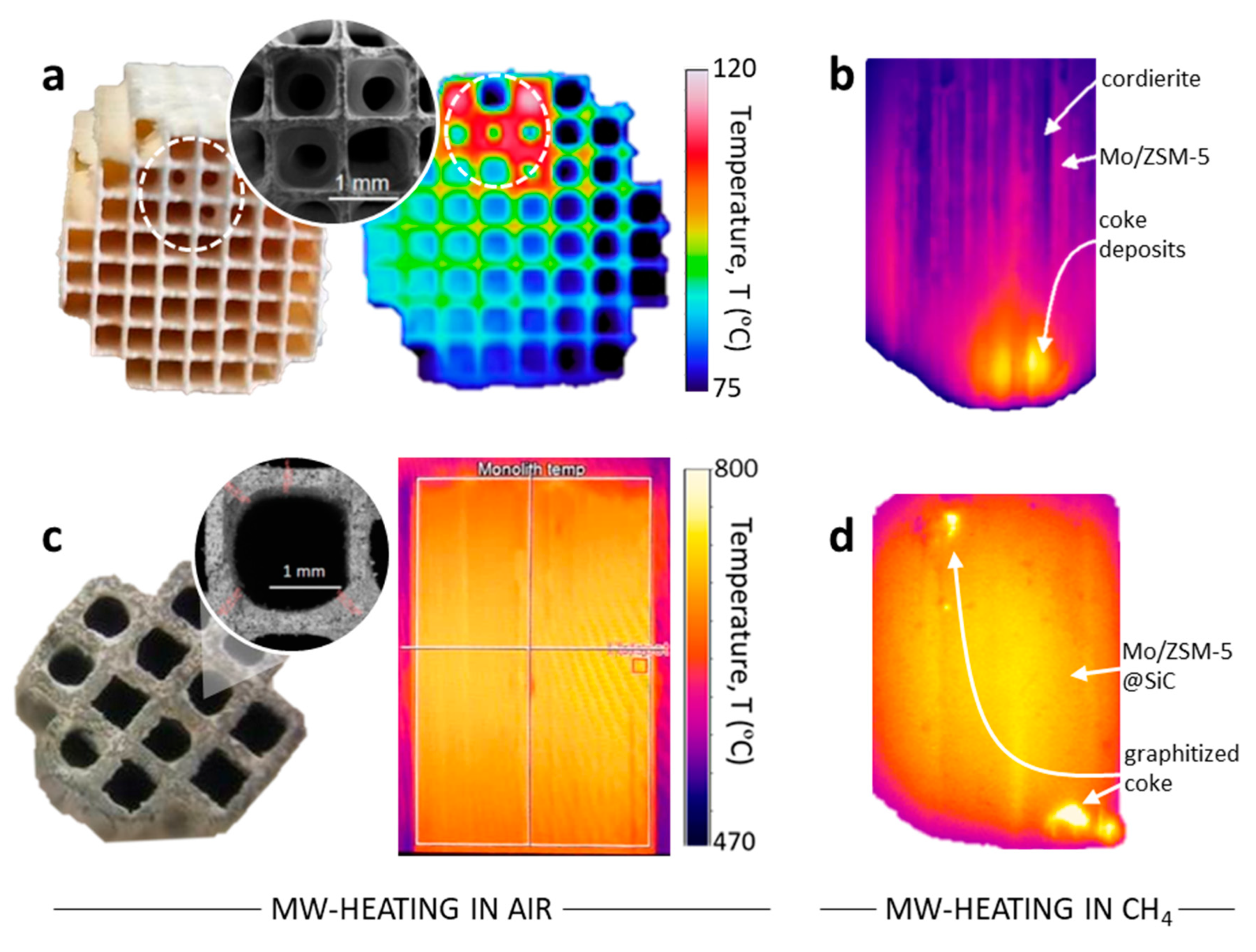 Catalysts 09 00867 g002