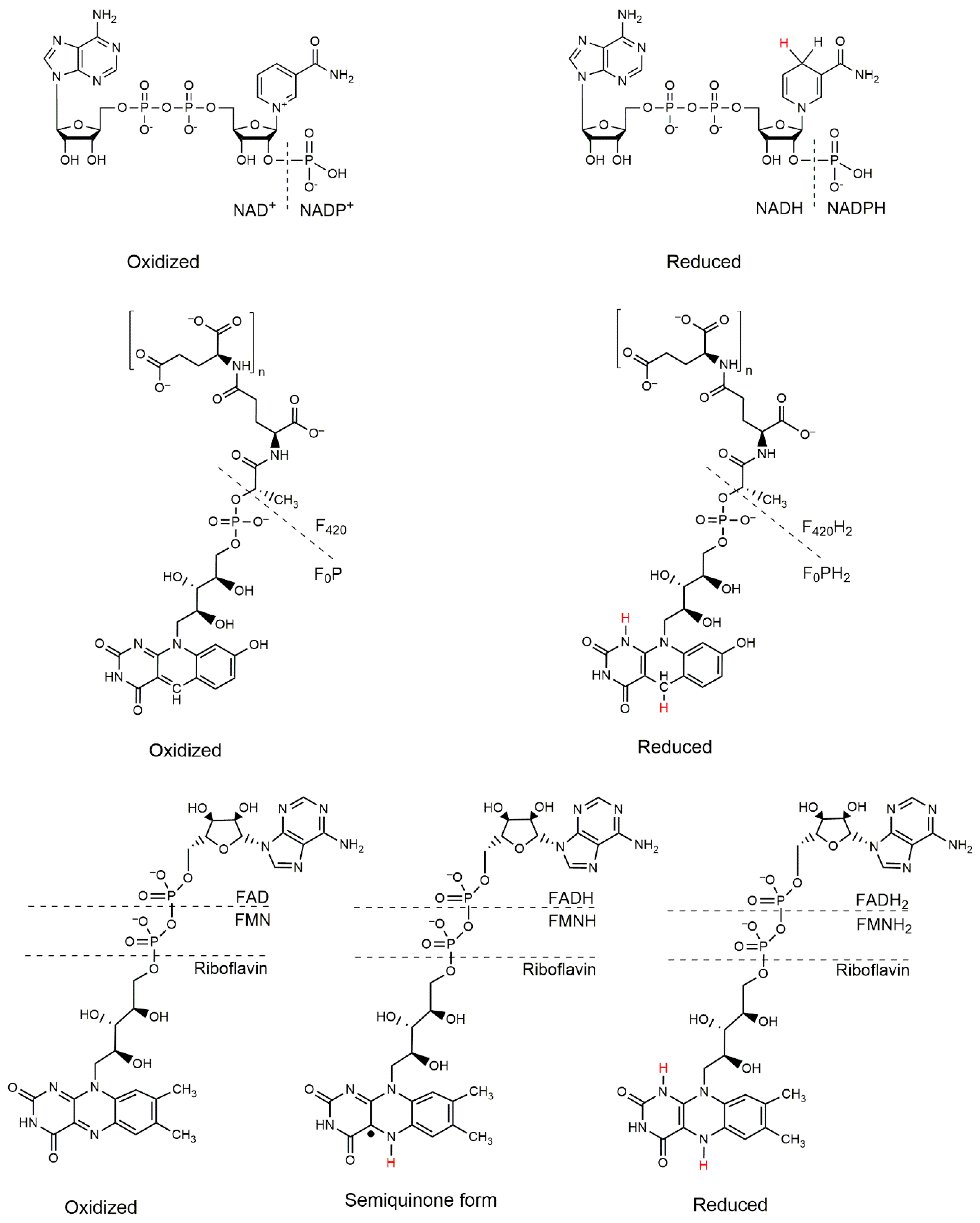 Catalysts 09 00868 g001 Catalysts 09 00868 g001