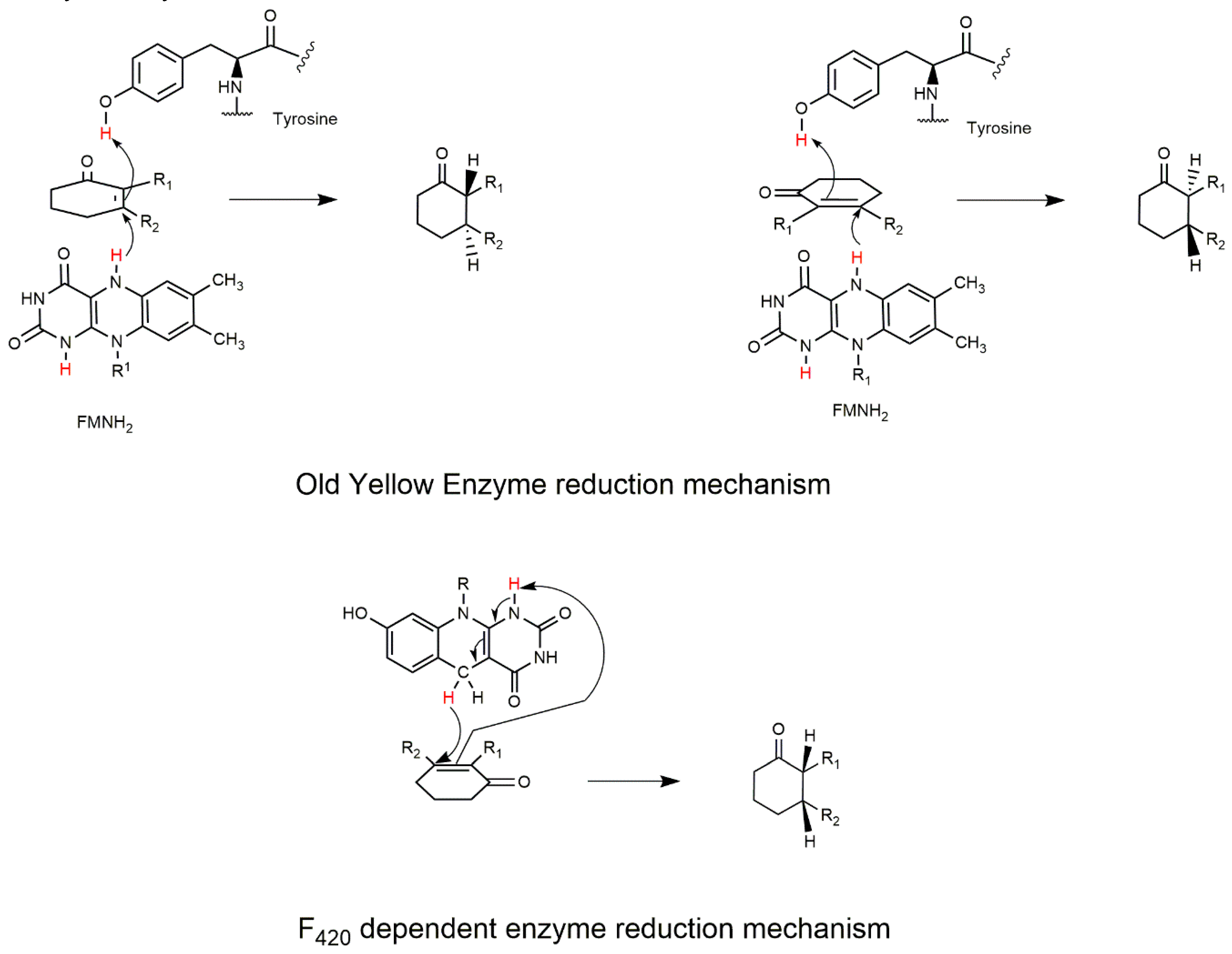 Catalysts 09 00868 g005 Catalysts 09 00868 g005