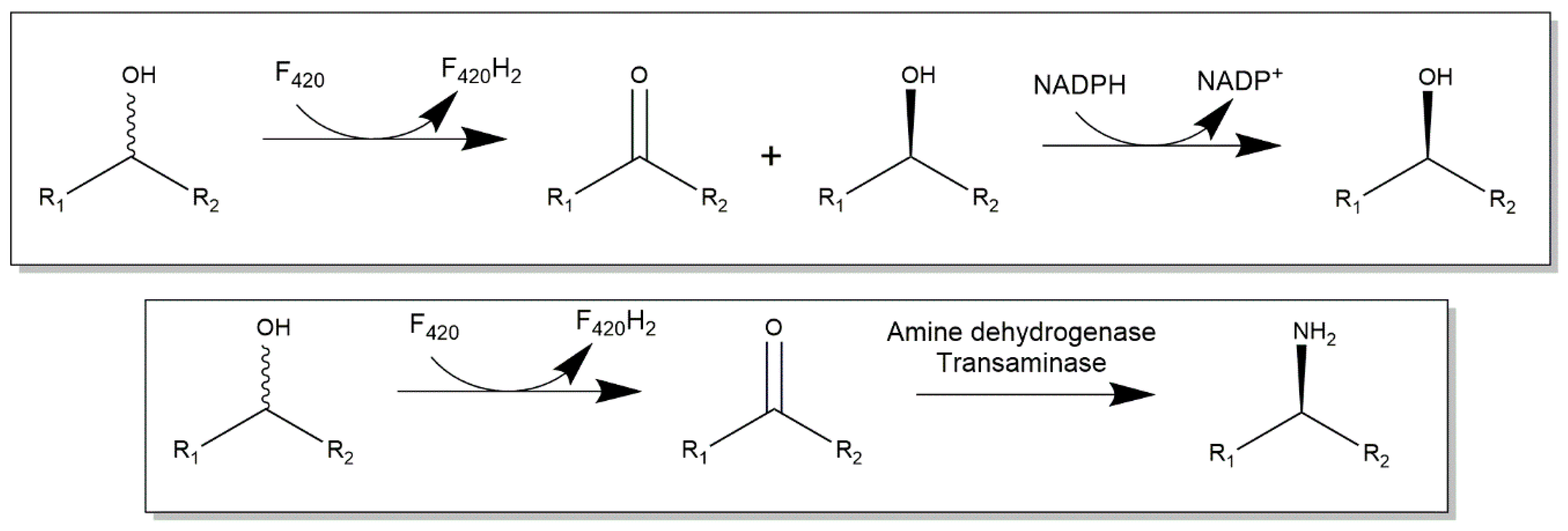 Catalysts 09 00868 g006 Catalysts 09 00868 g006