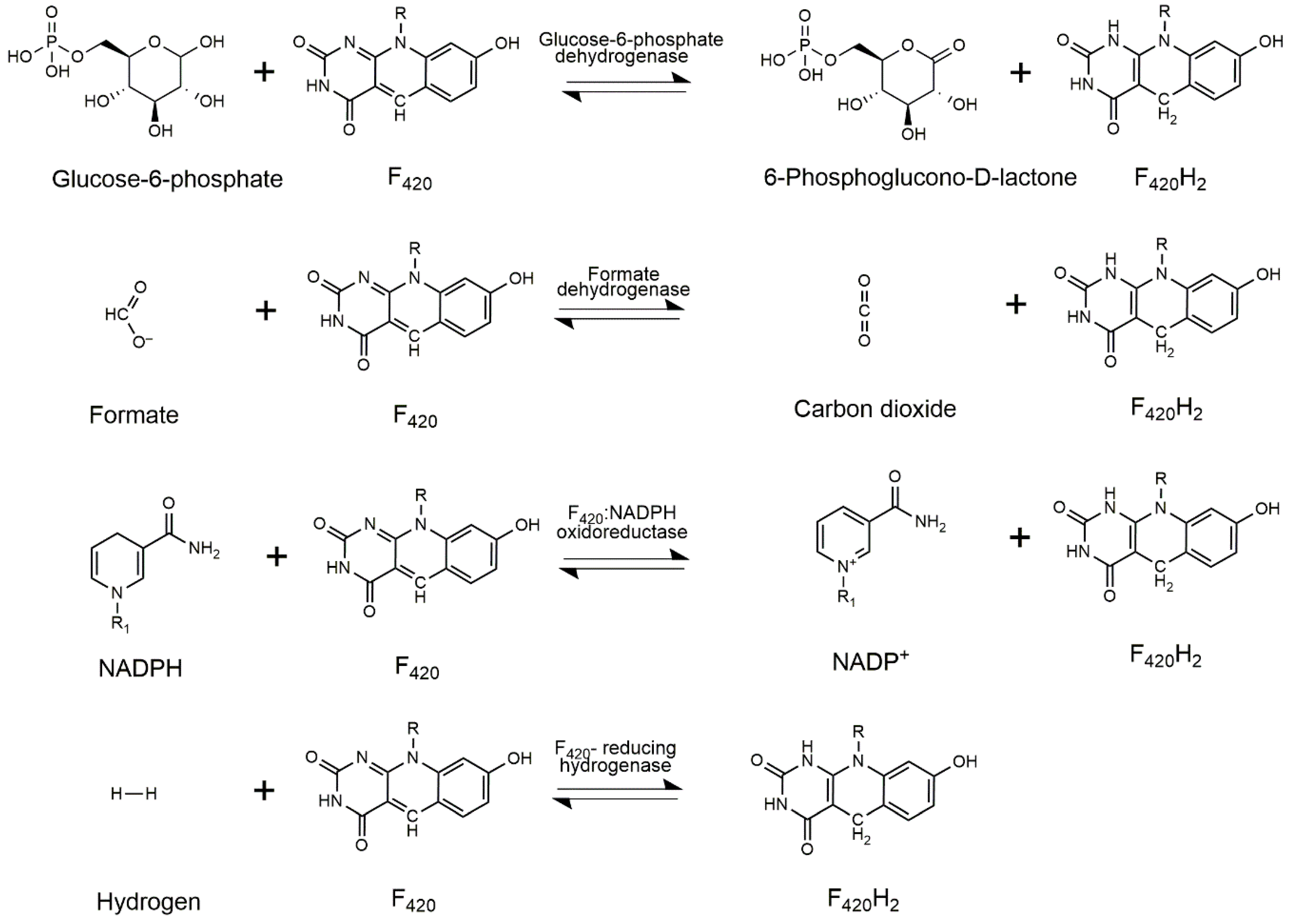 Catalysts 09 00868 g007 Catalysts 09 00868 g007