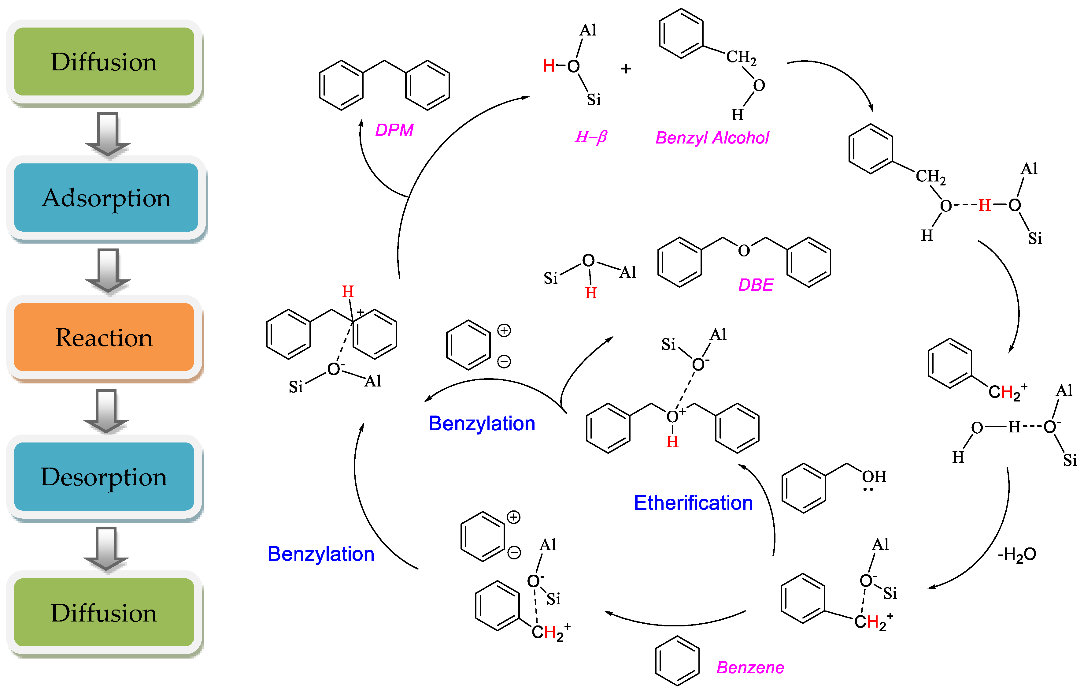 Catalysts 09 00869 g013
