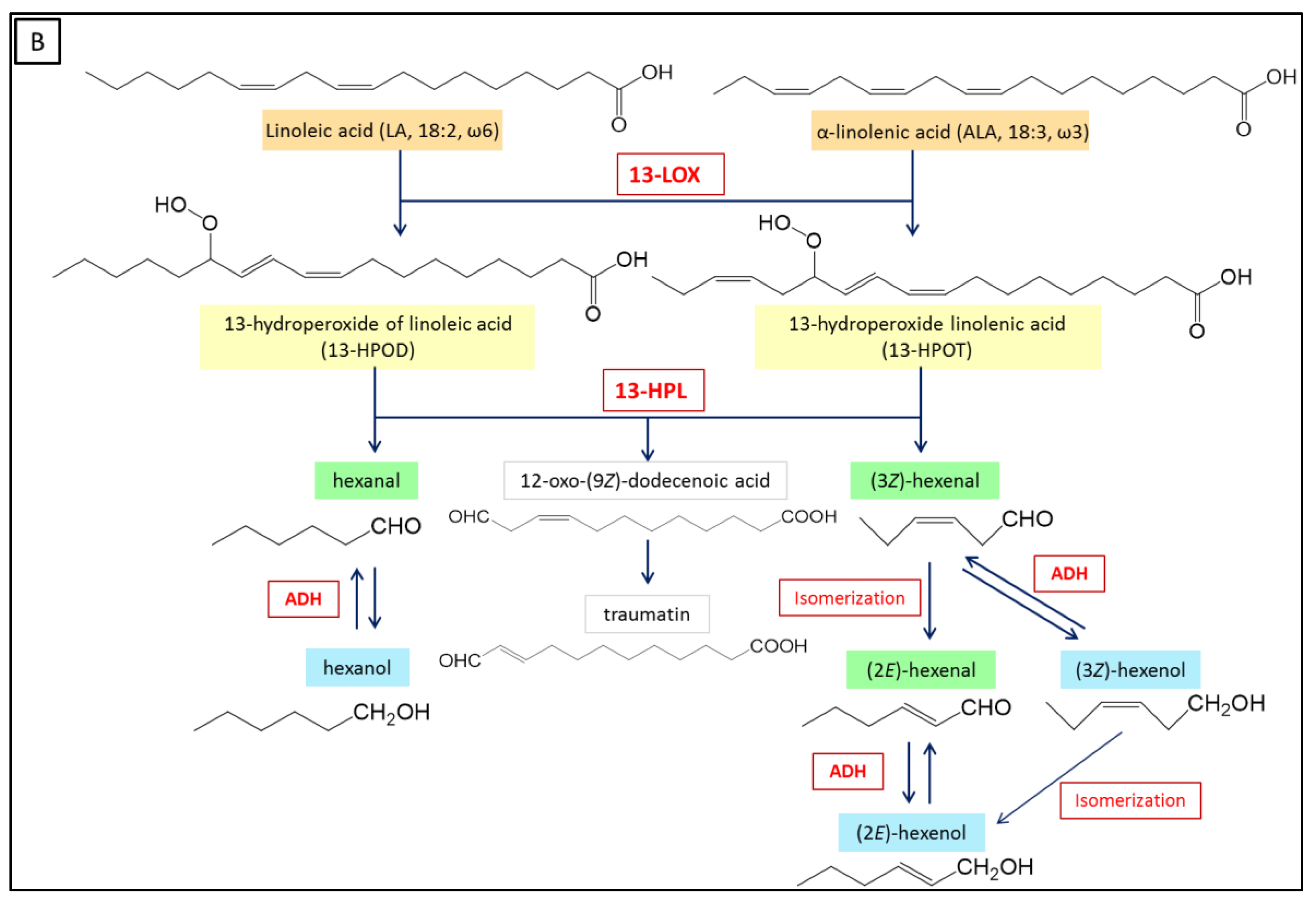 Catalysts 09 00873 g003b