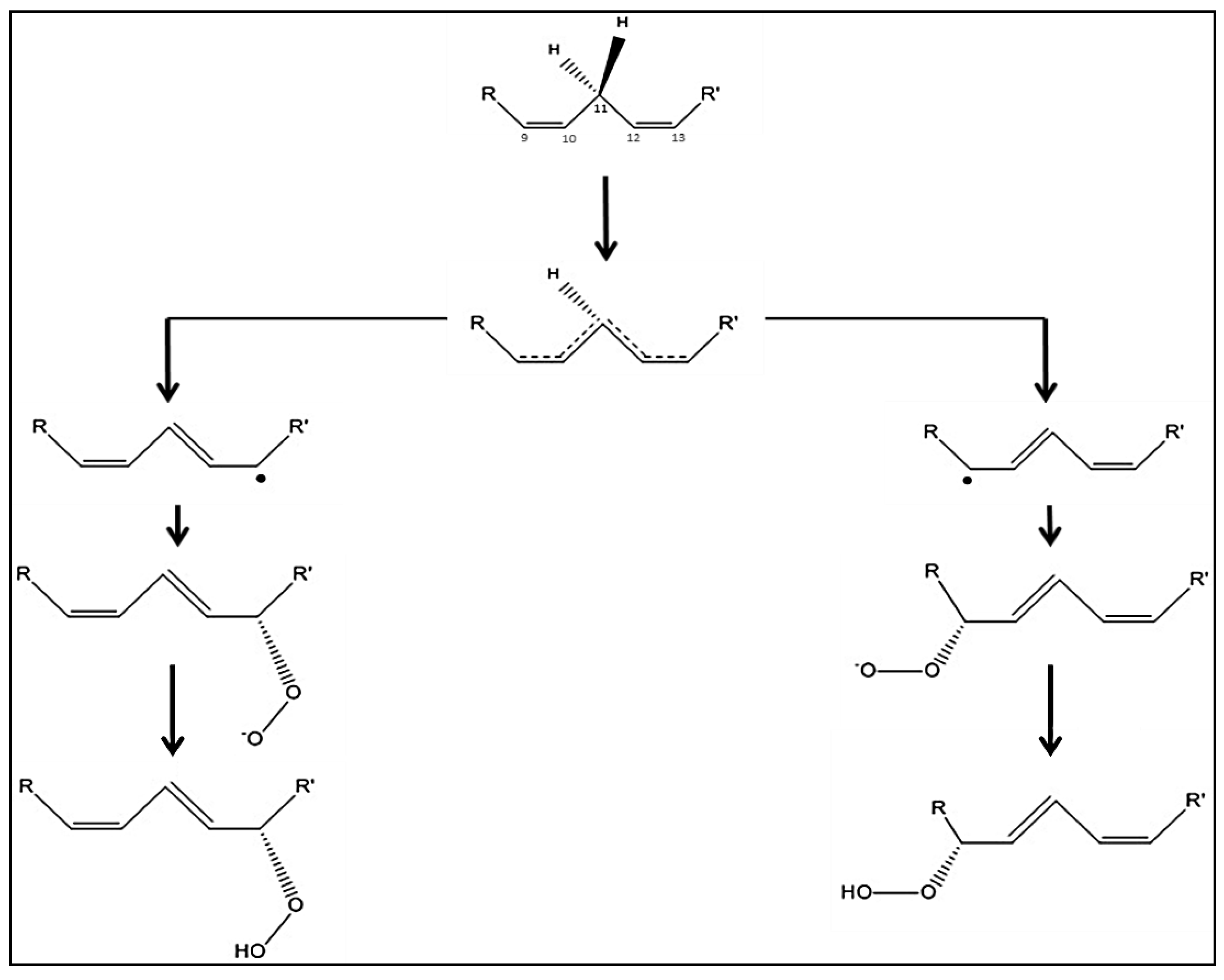 Catalysts 09 00873 g004
