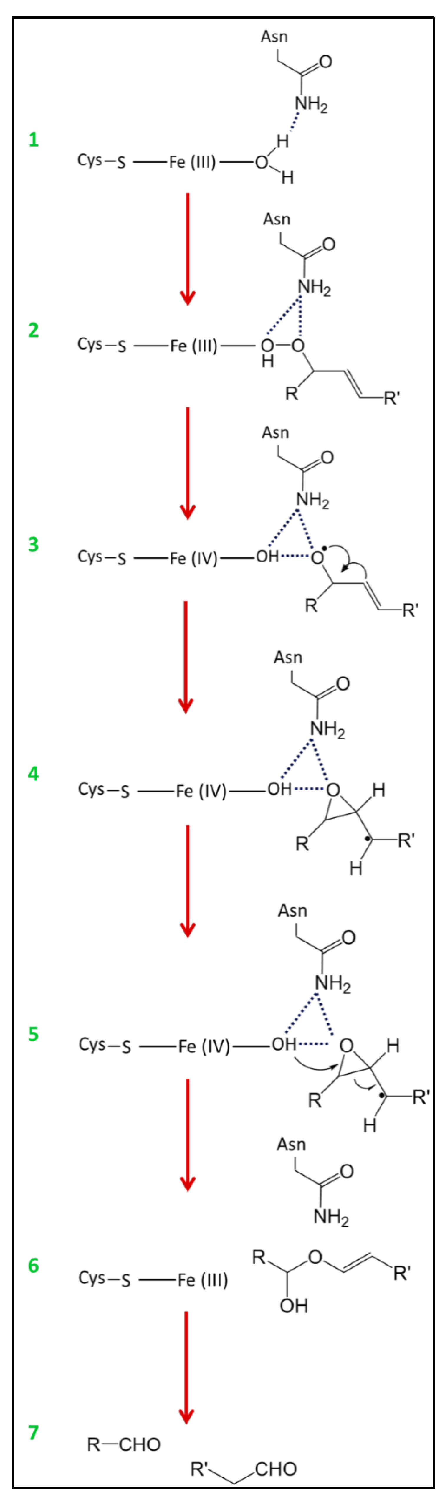 Catalysts 09 00873 g005