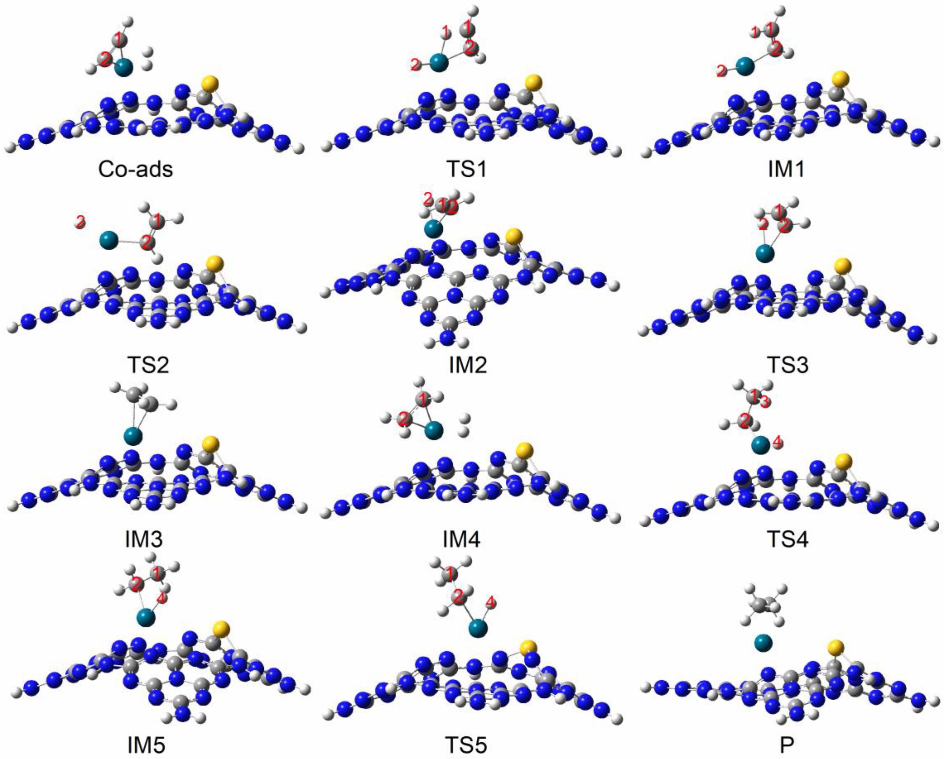 Catalysts 09 00887 g006