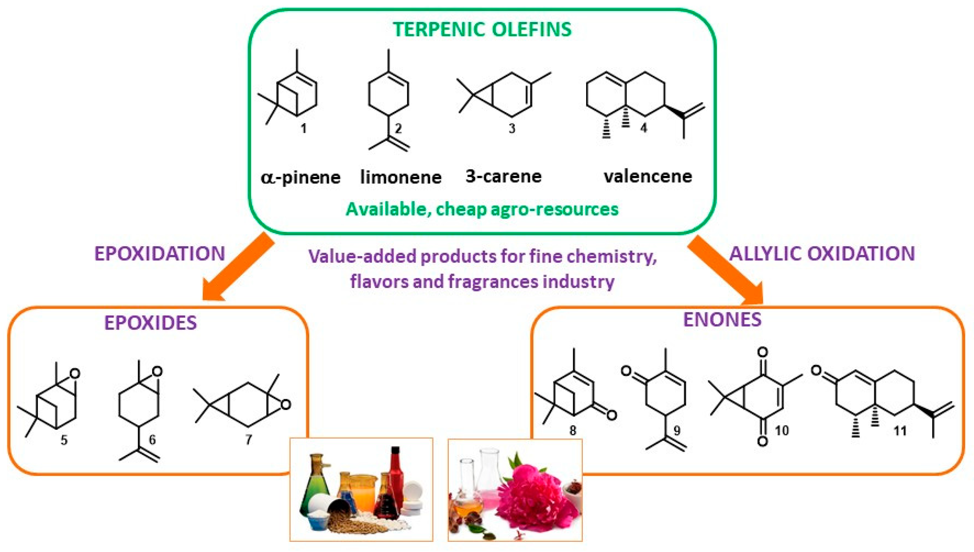 Catalysts 09 00893 g001