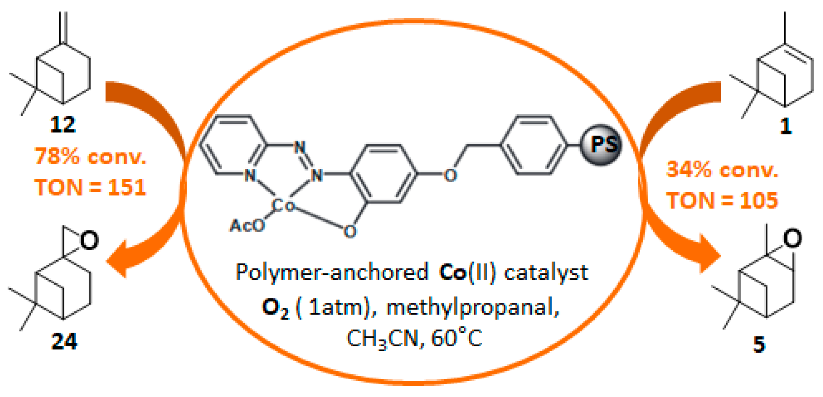 Catalysts 09 00893 g007
