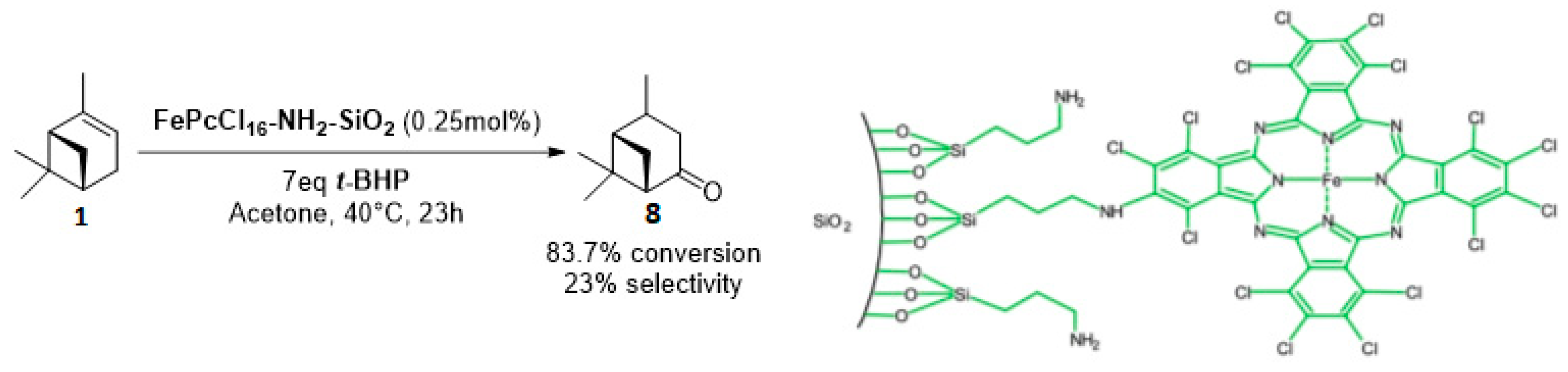 Catalysts 09 00893 g011