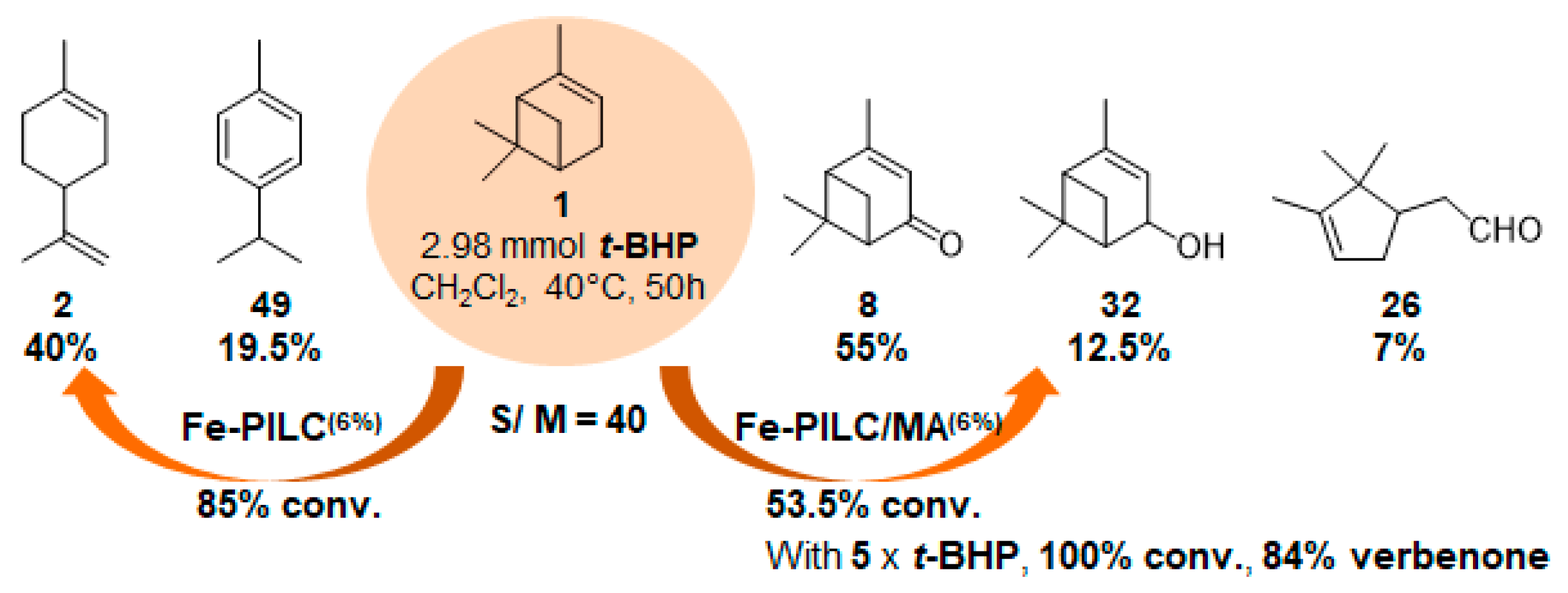 Catalysts 09 00893 g012