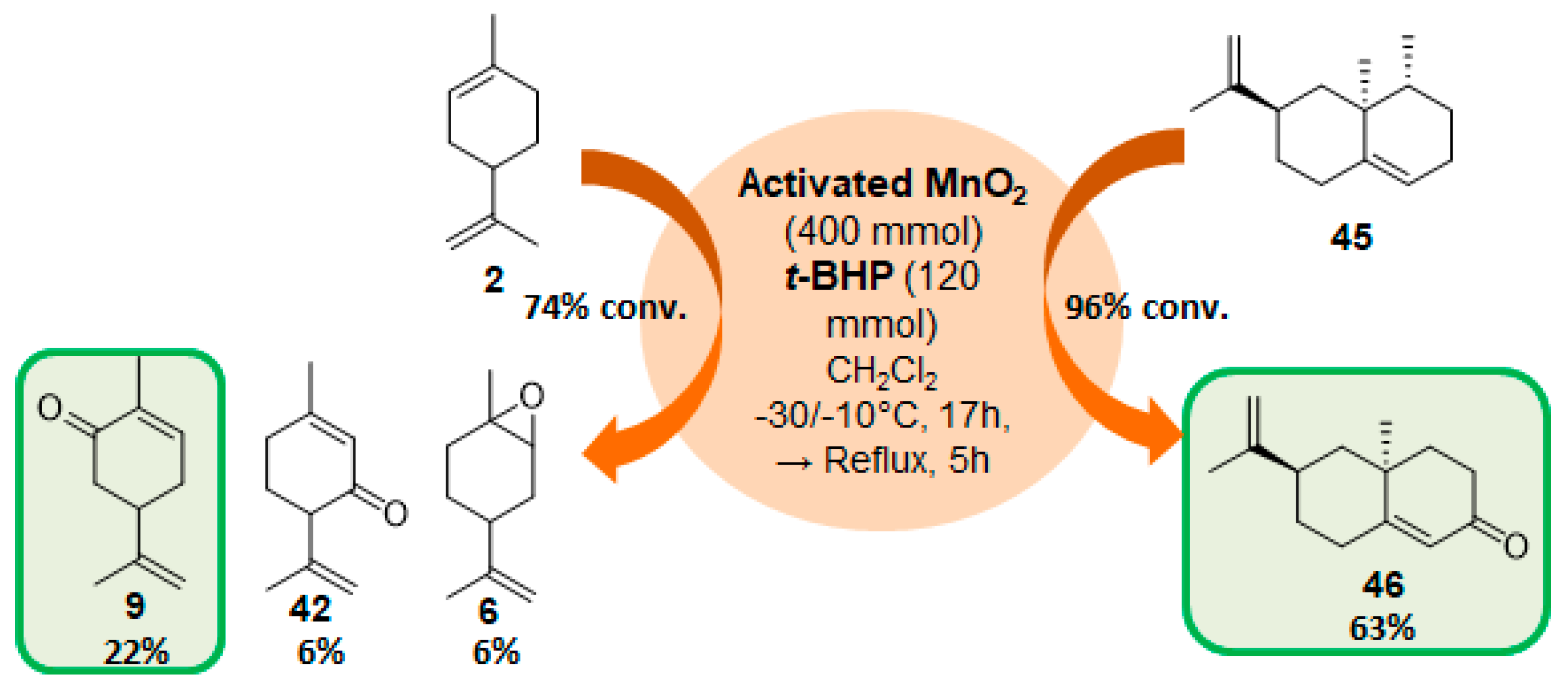 Catalysts 09 00893 g013