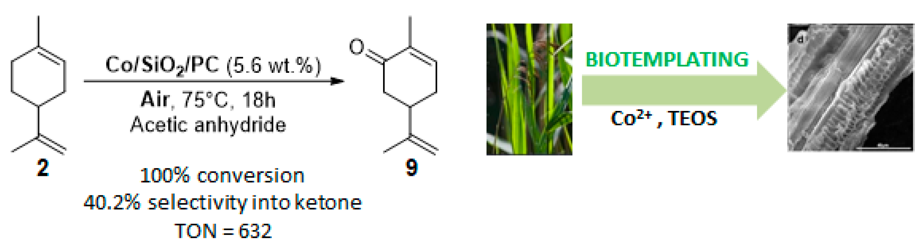Catalysts 09 00893 g014