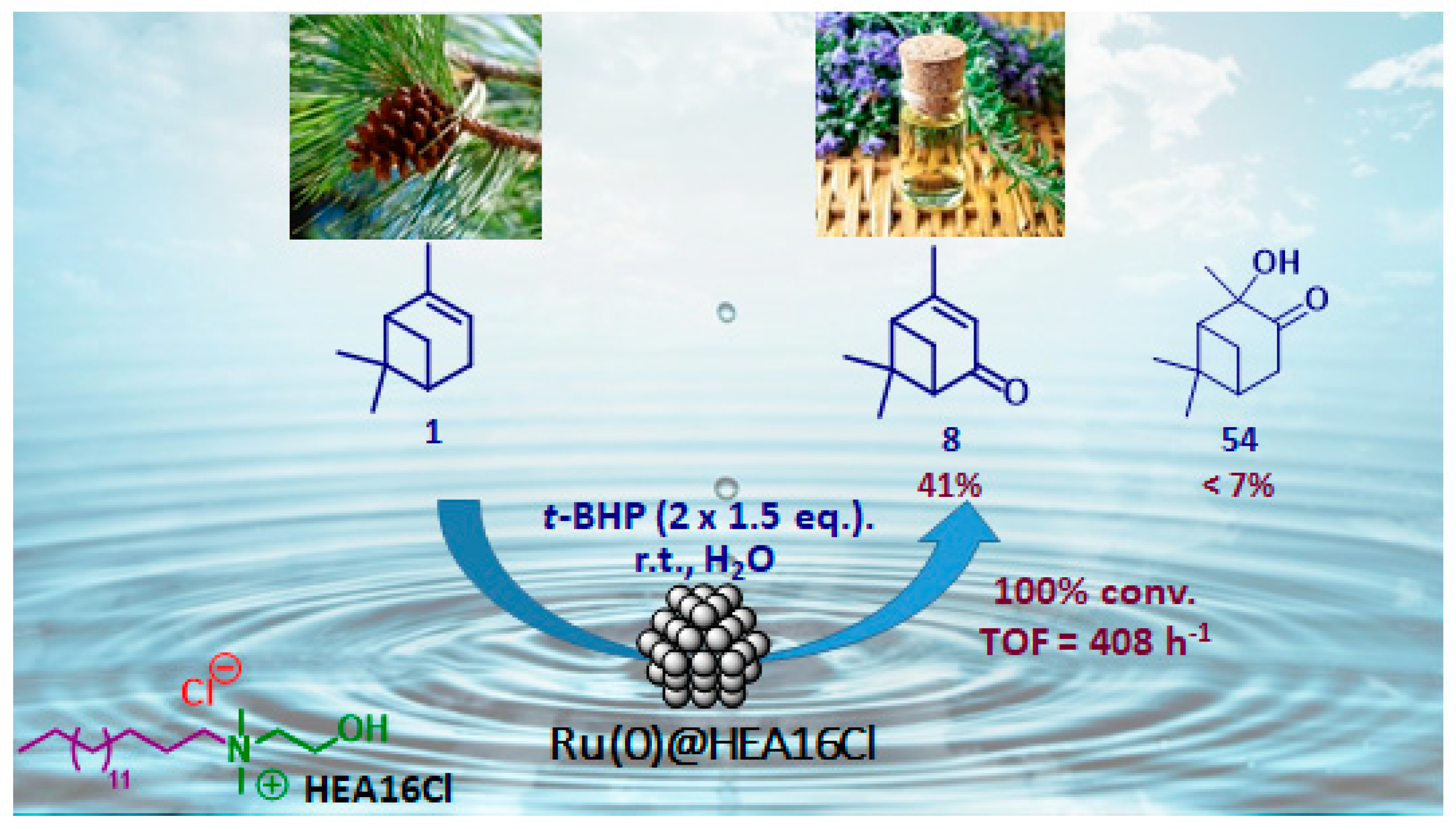 Catalysts 09 00893 g016