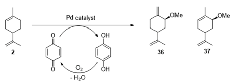 Catalysts 09 00893 i024
