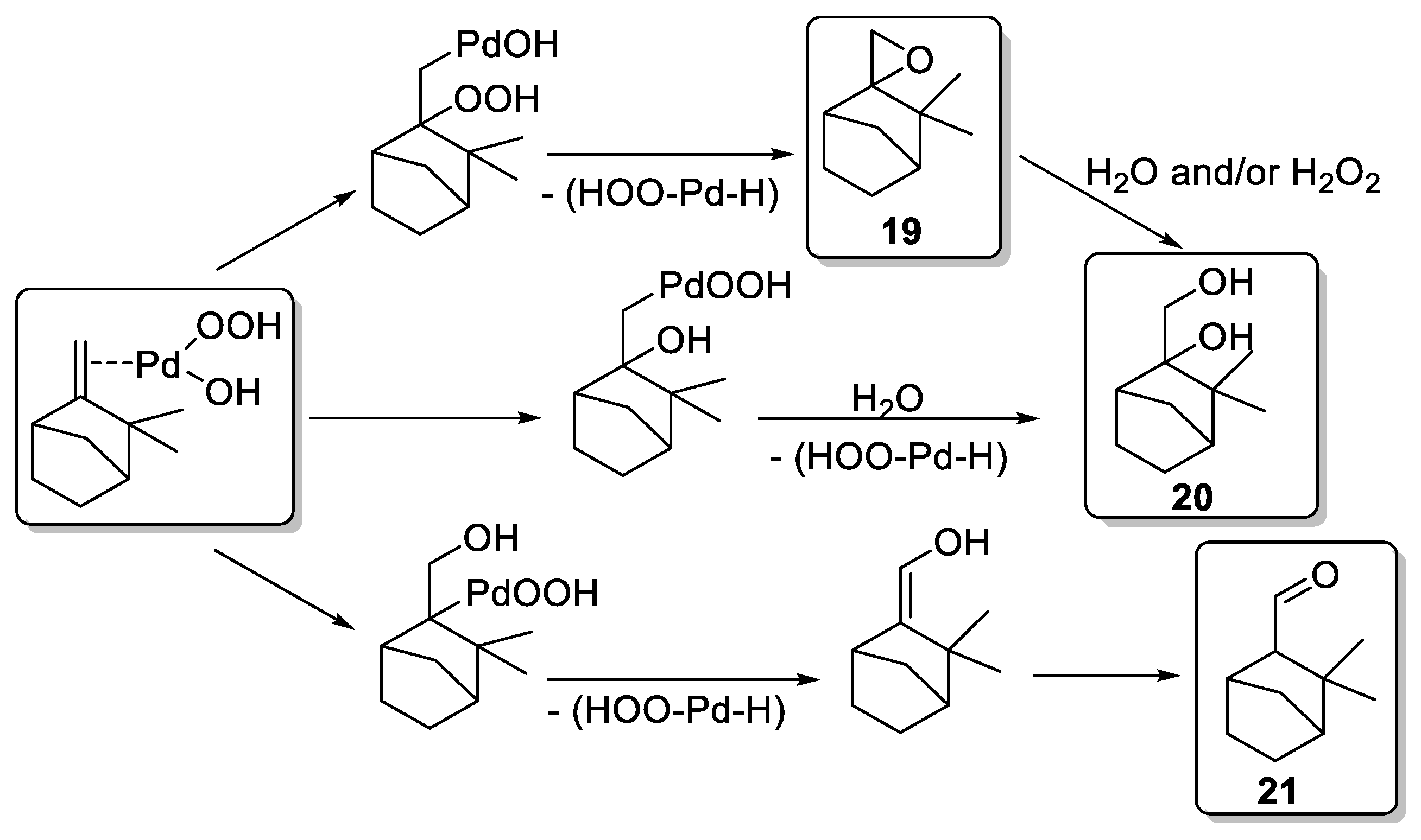 Catalysts 09 00893 sch001