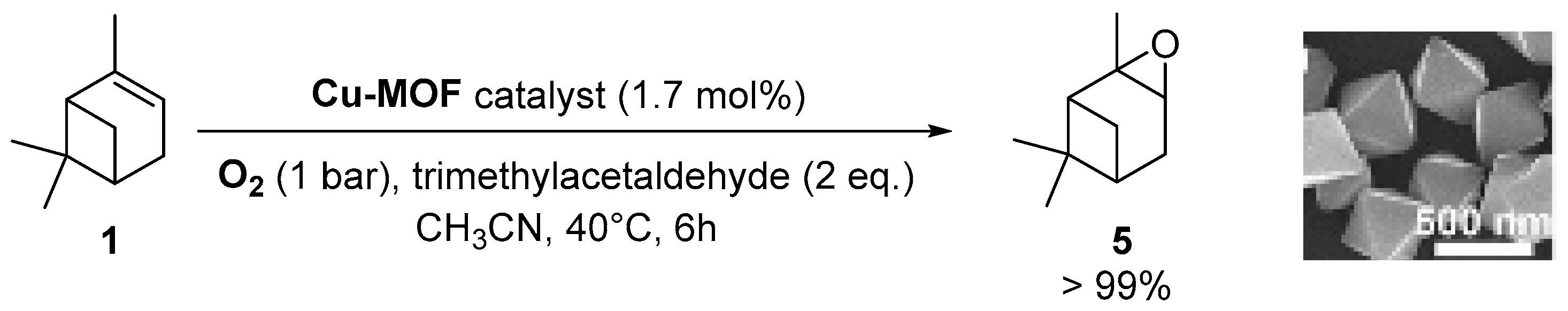 Catalysts 09 00893 sch008