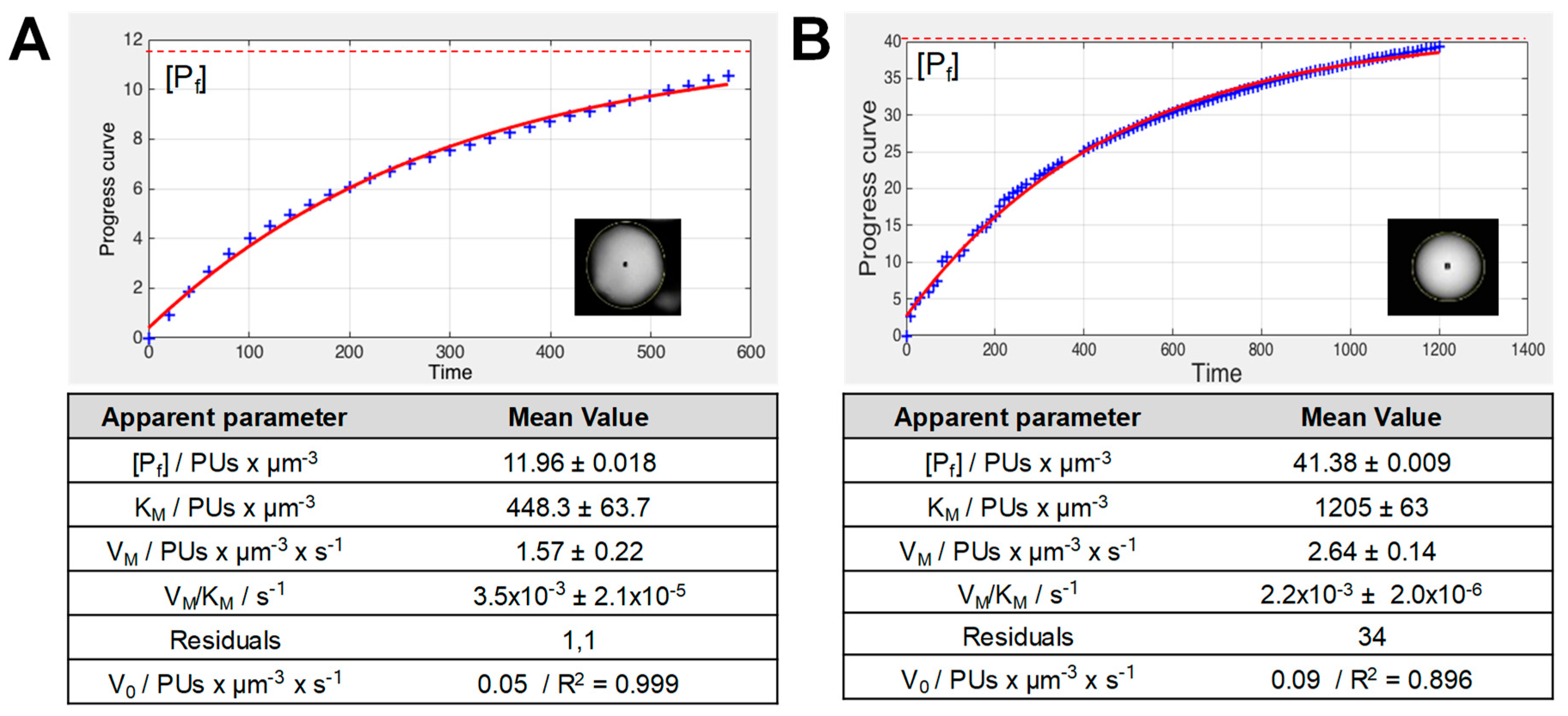 Catalysts 09 00896 g002 Catalysts 09 00896 g002