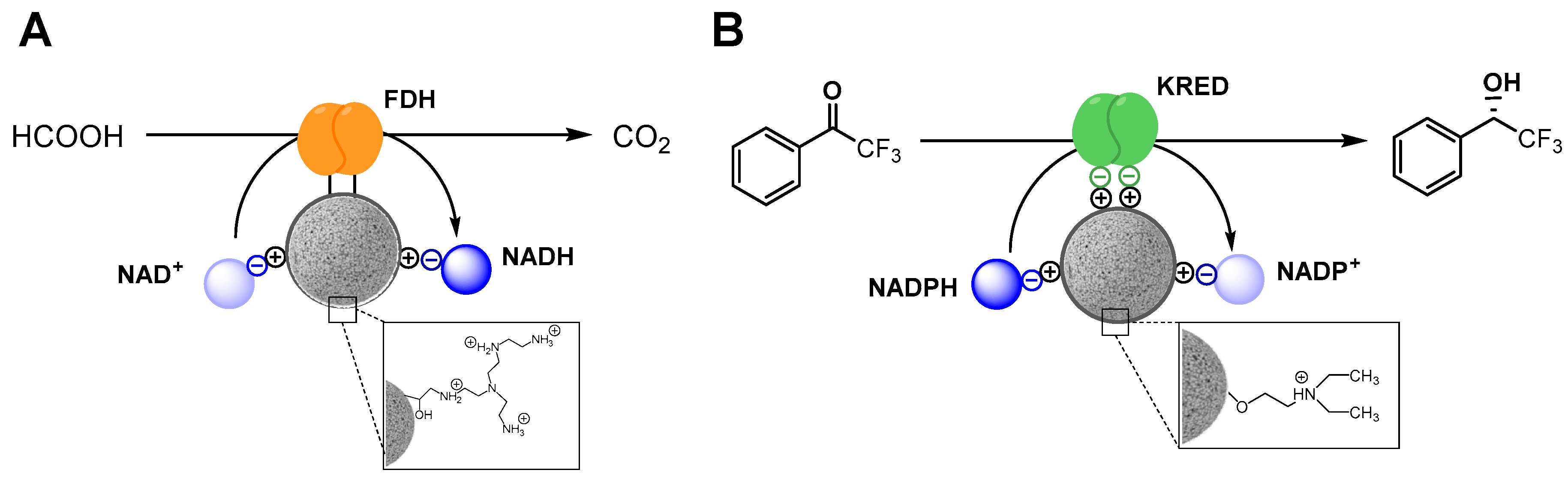 Catalysts 09 00896 sch001 Catalysts 09 00896 sch001