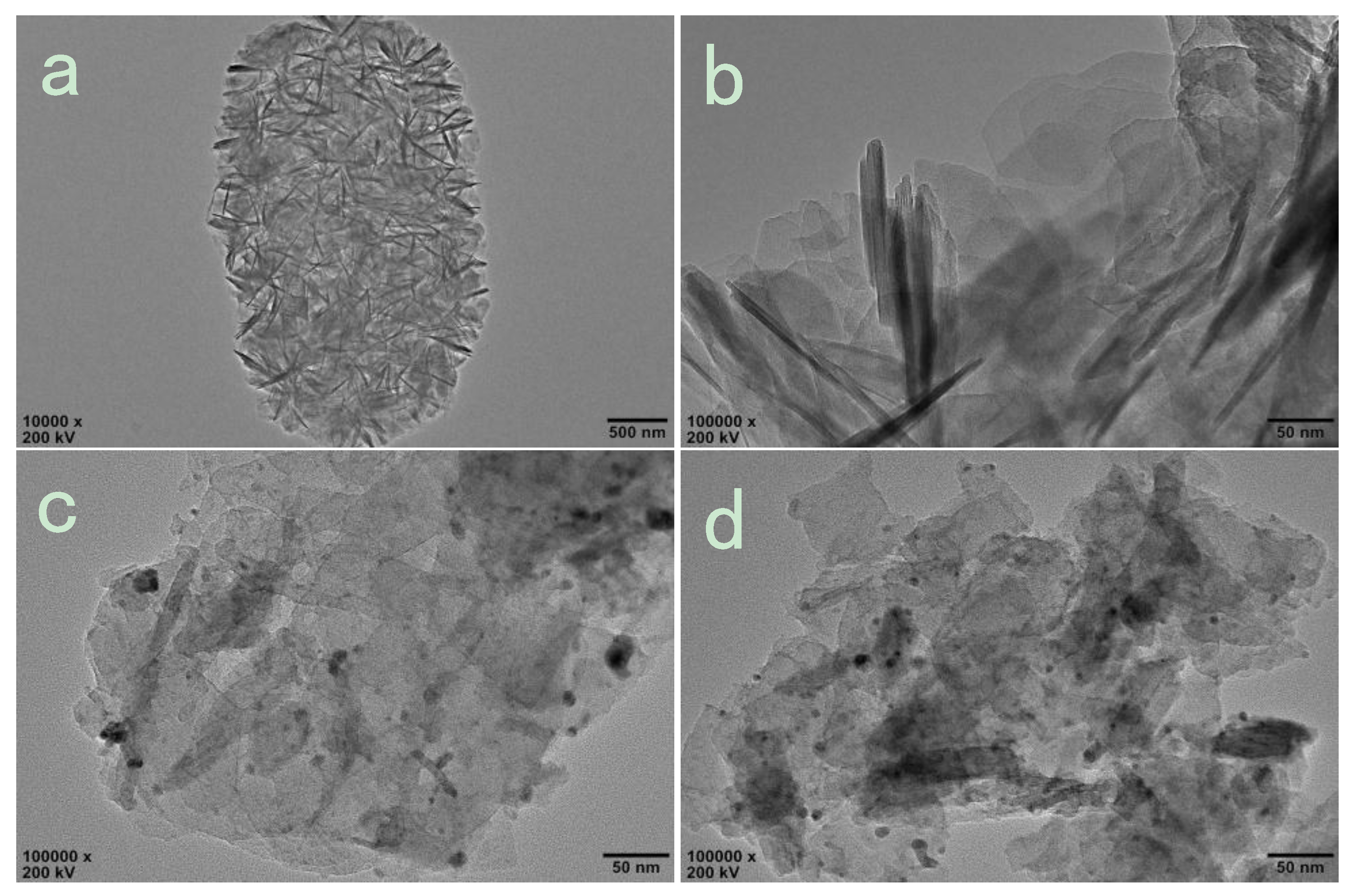 Catalysts 09 00902 g006