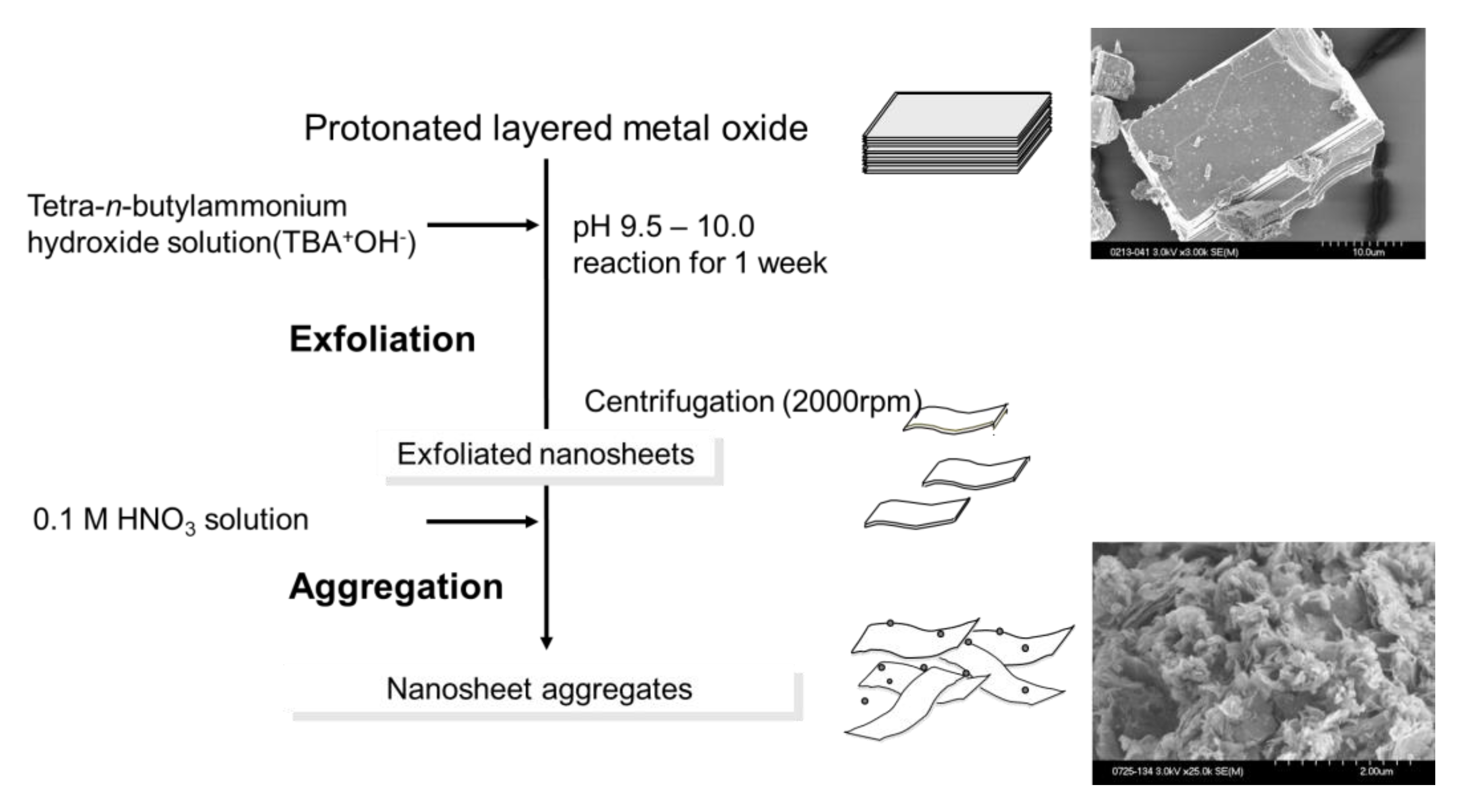 Catalysts 09 00907 g009 Catalysts 09 00907 g009