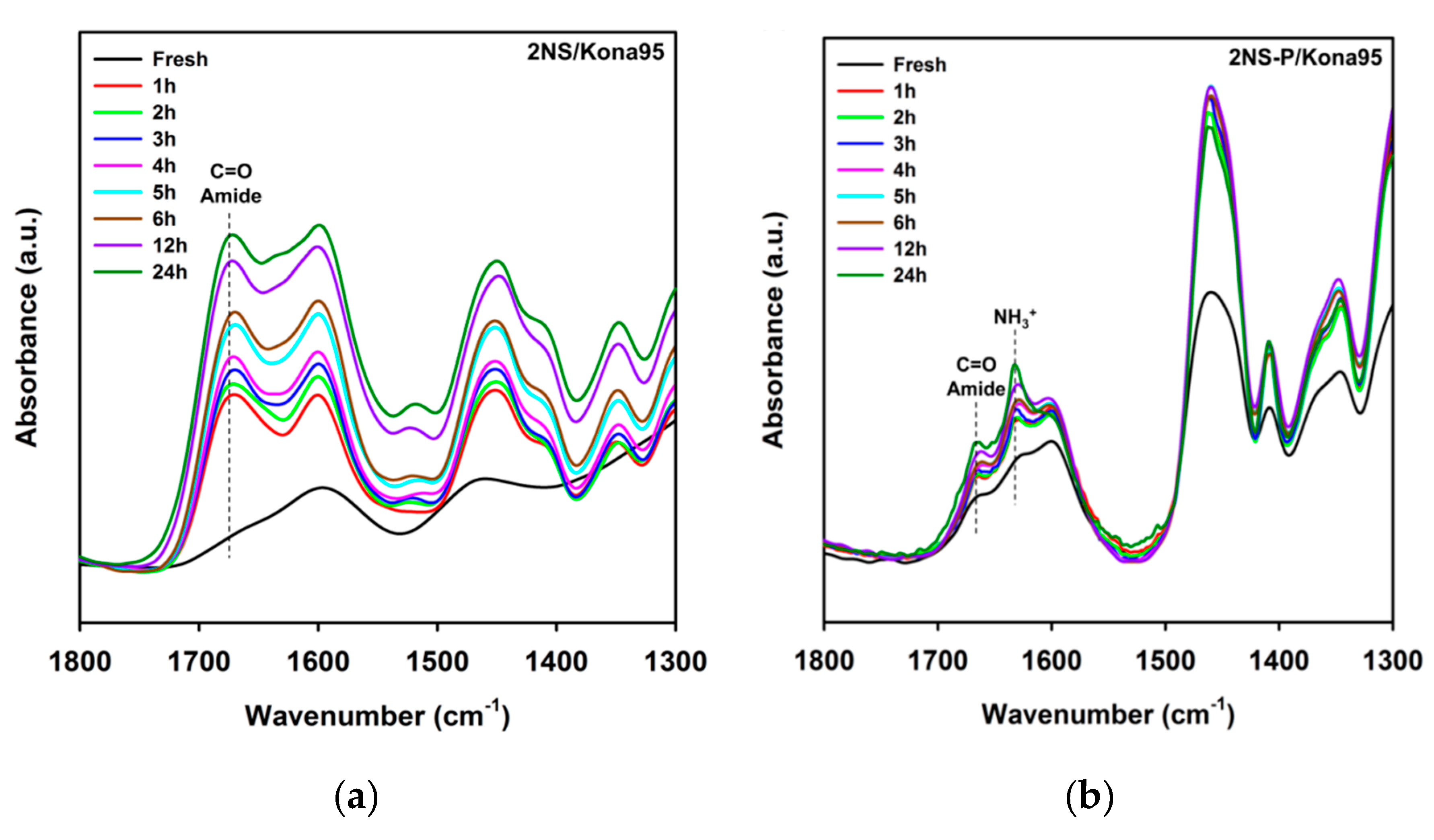 Catalysts 09 00910 g006