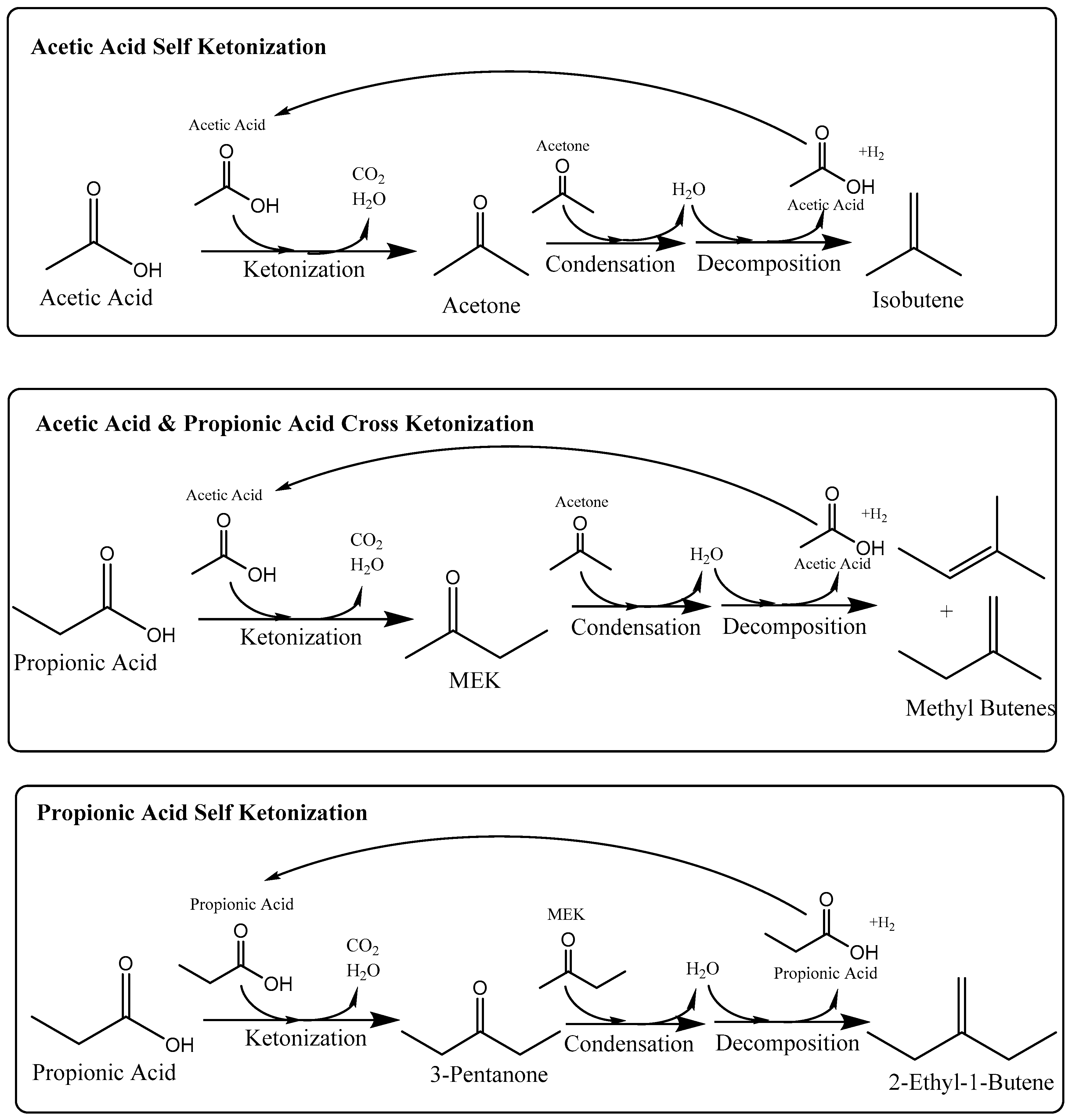 Catalysts 09 00923 sch002