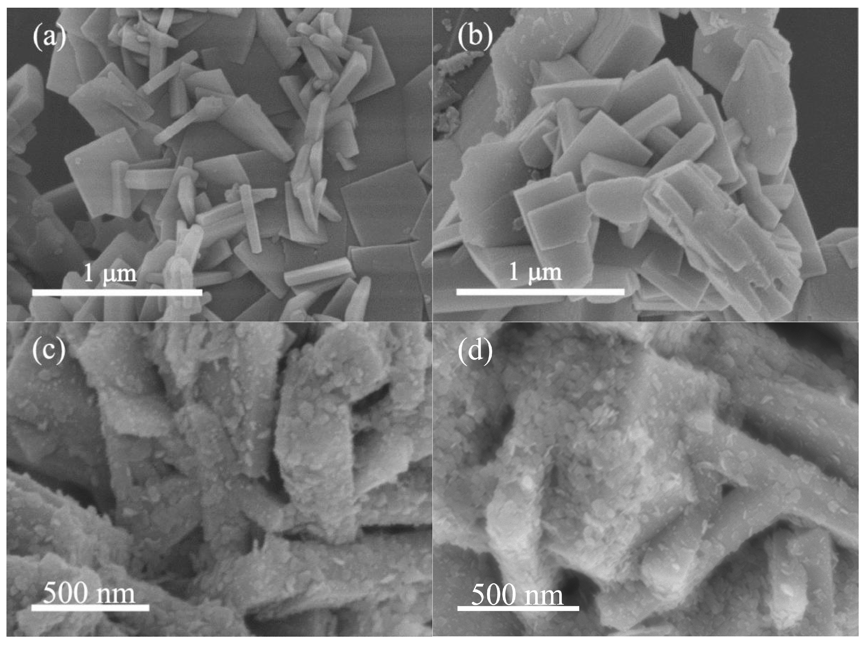 Catalysts 09 00927 g003
