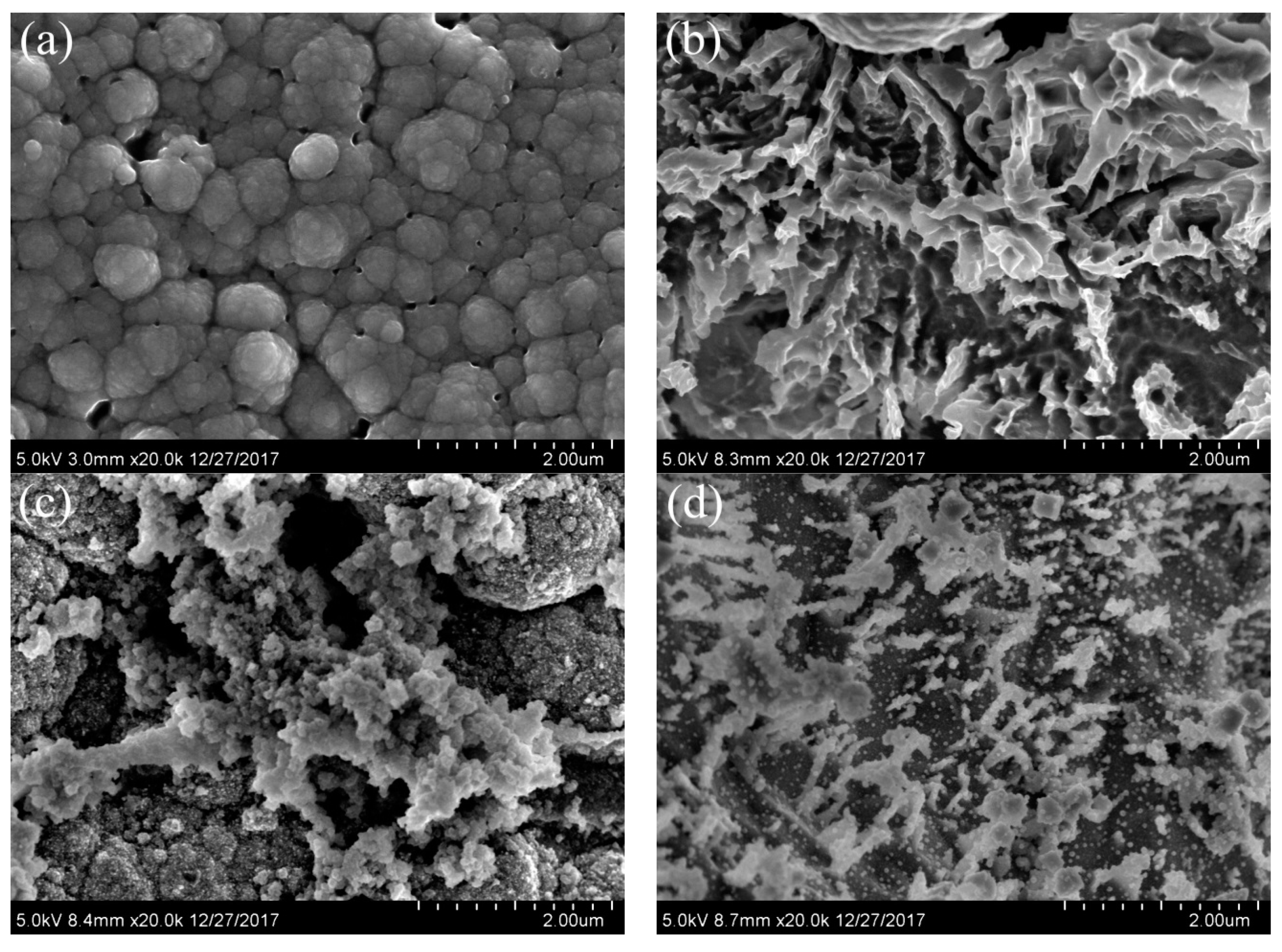 Catalysts 09 00931 g003