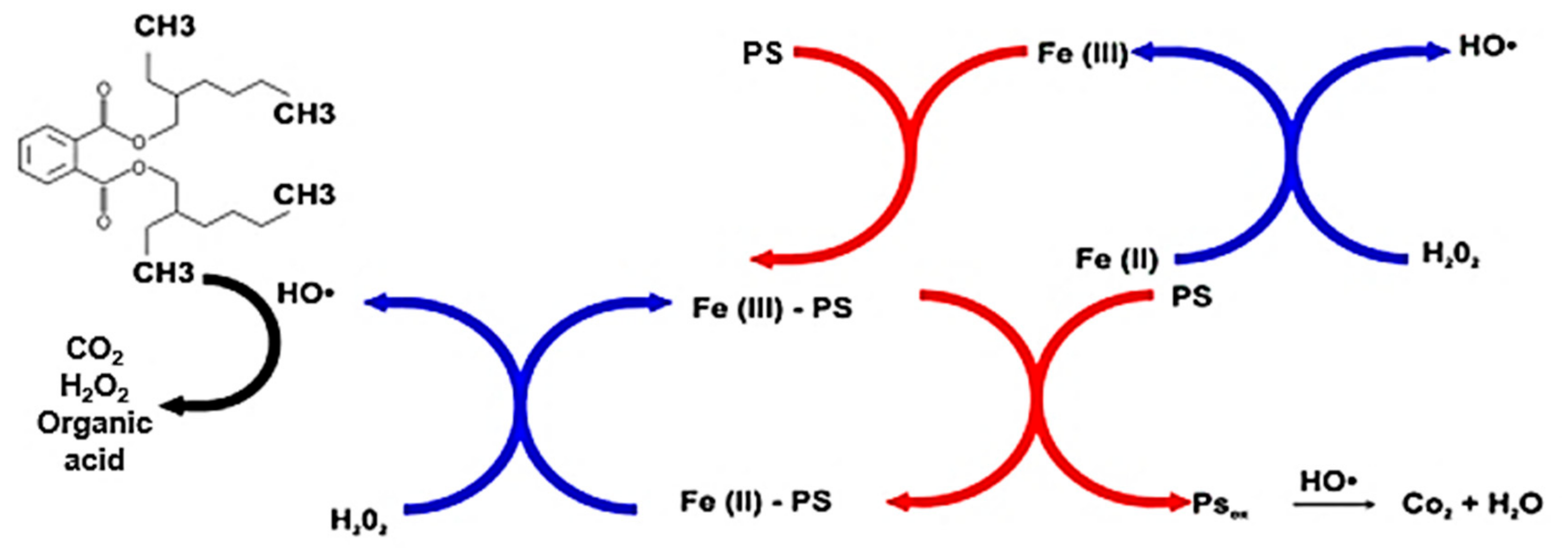Catalysts 09 00932 g003 Catalysts 09 00932 g003