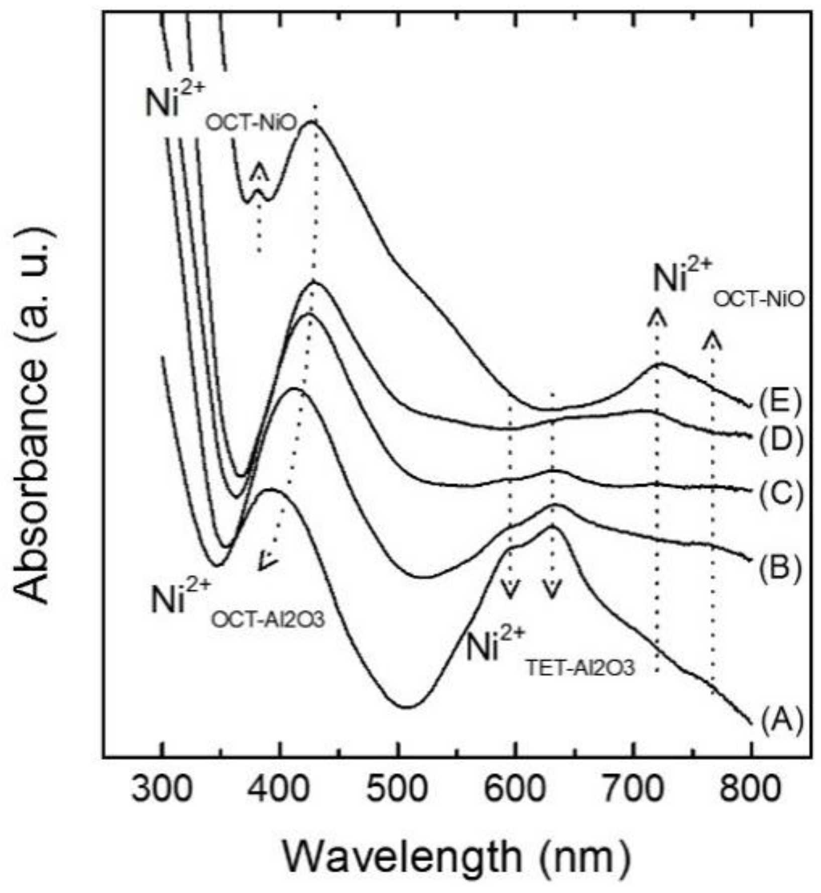 Catalysts 09 00933 g002