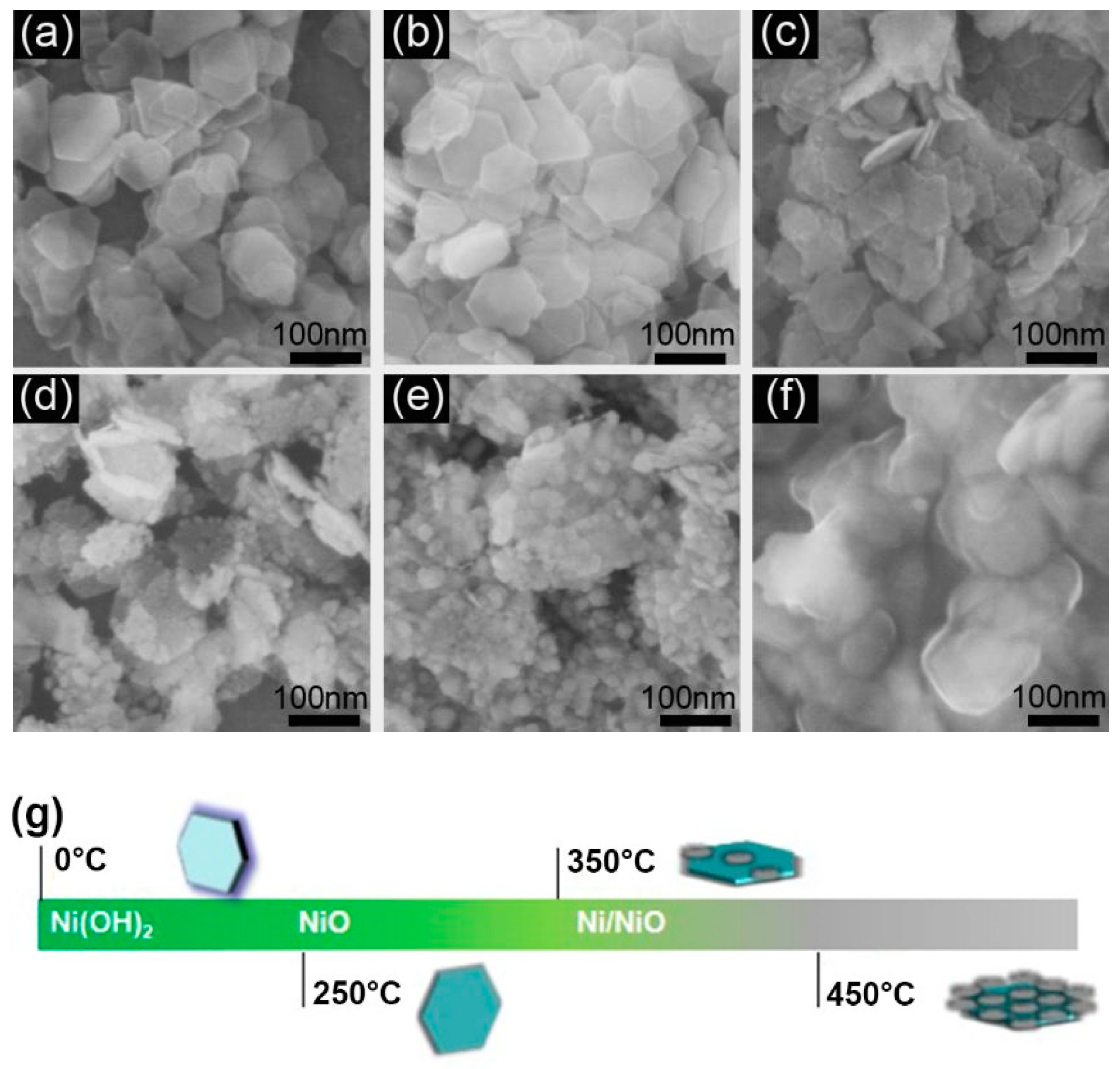 Catalysts 09 00944 g002 Catalysts 09 00944 g002