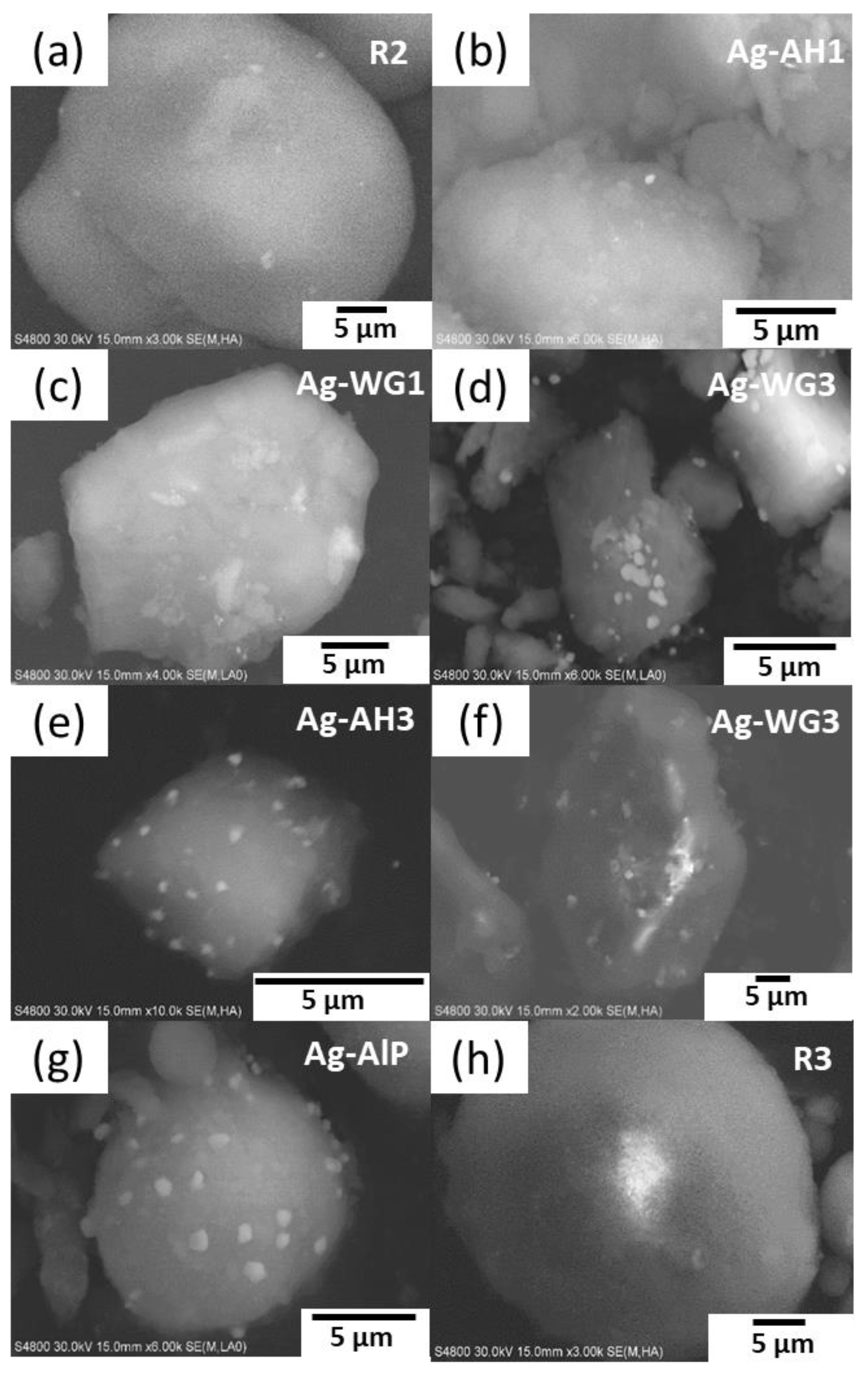 Catalysts 09 00957 g002