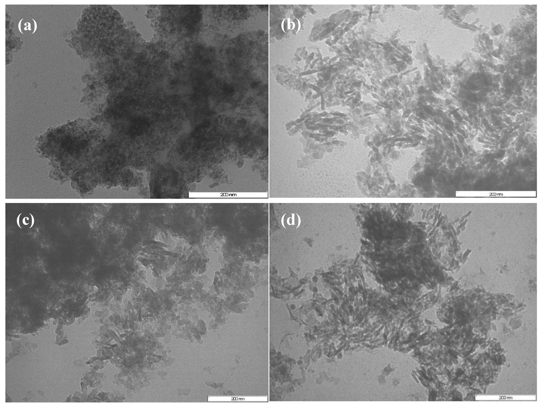 Catalysts 09 00958 g004
