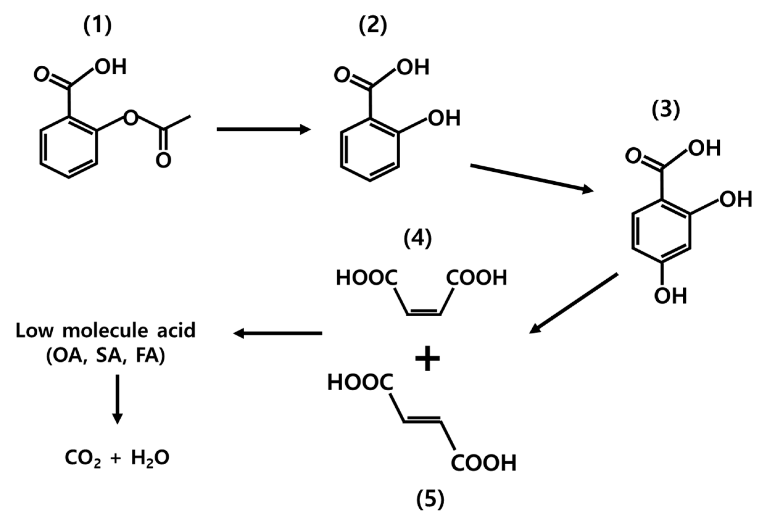 Catalysts 09 00965 g006
