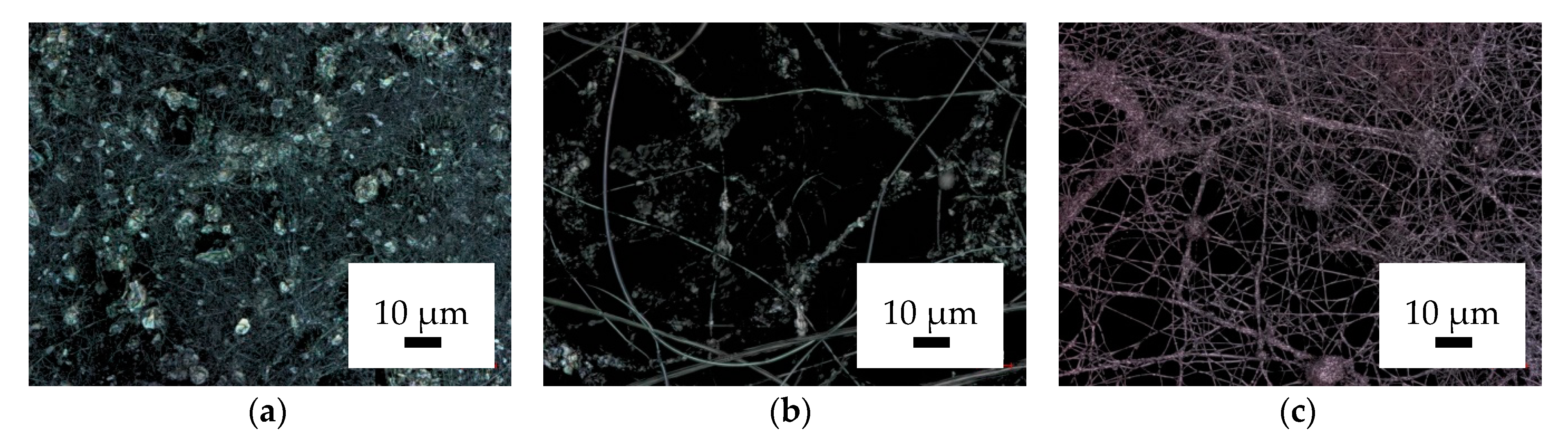 Catalysts 09 00975 g001
