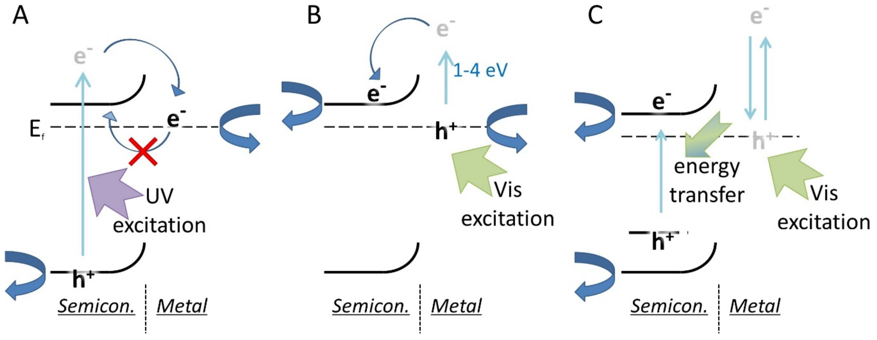 Catalysts 09 00982 g002