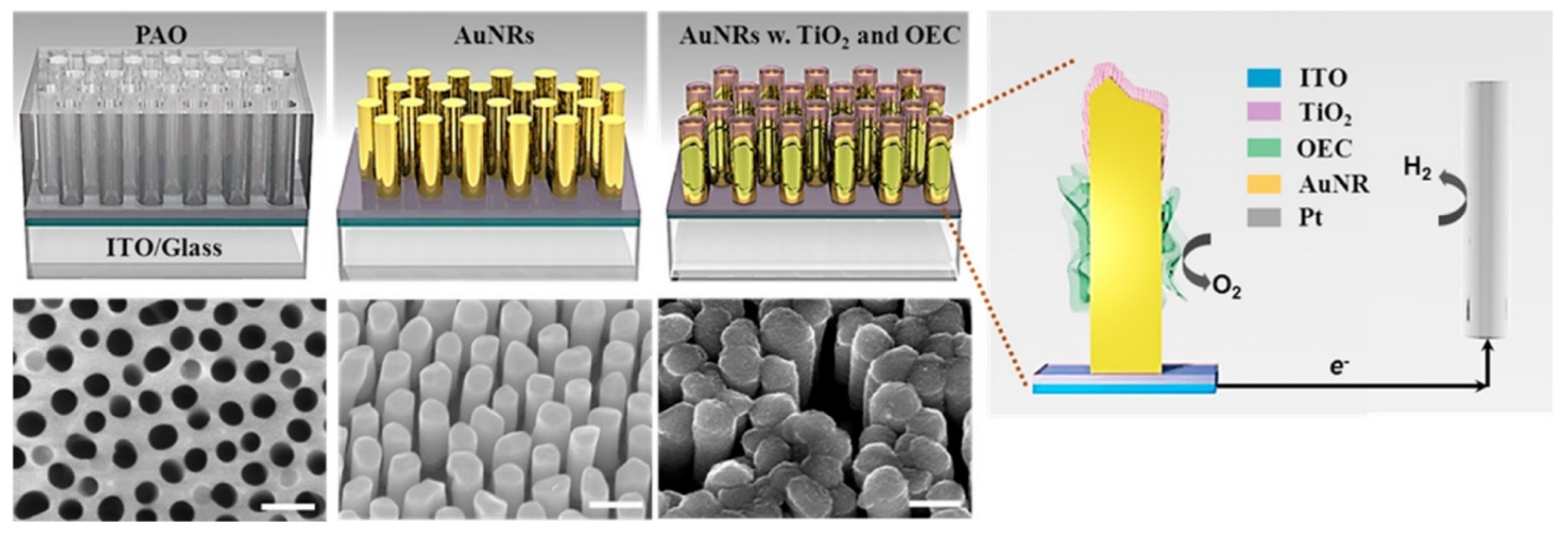 Catalysts 09 00982 g003