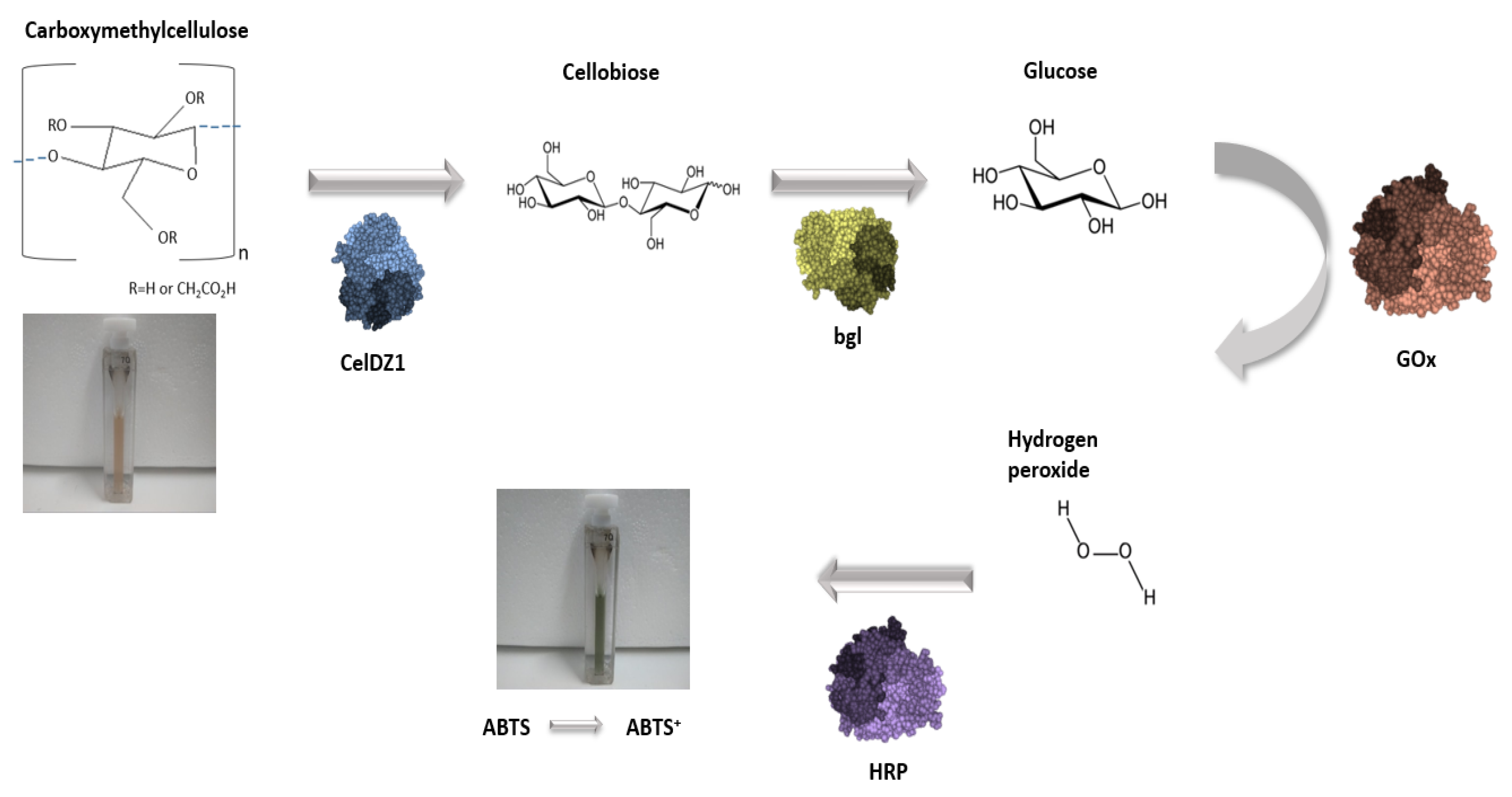 Catalysts 09 00995 g007
