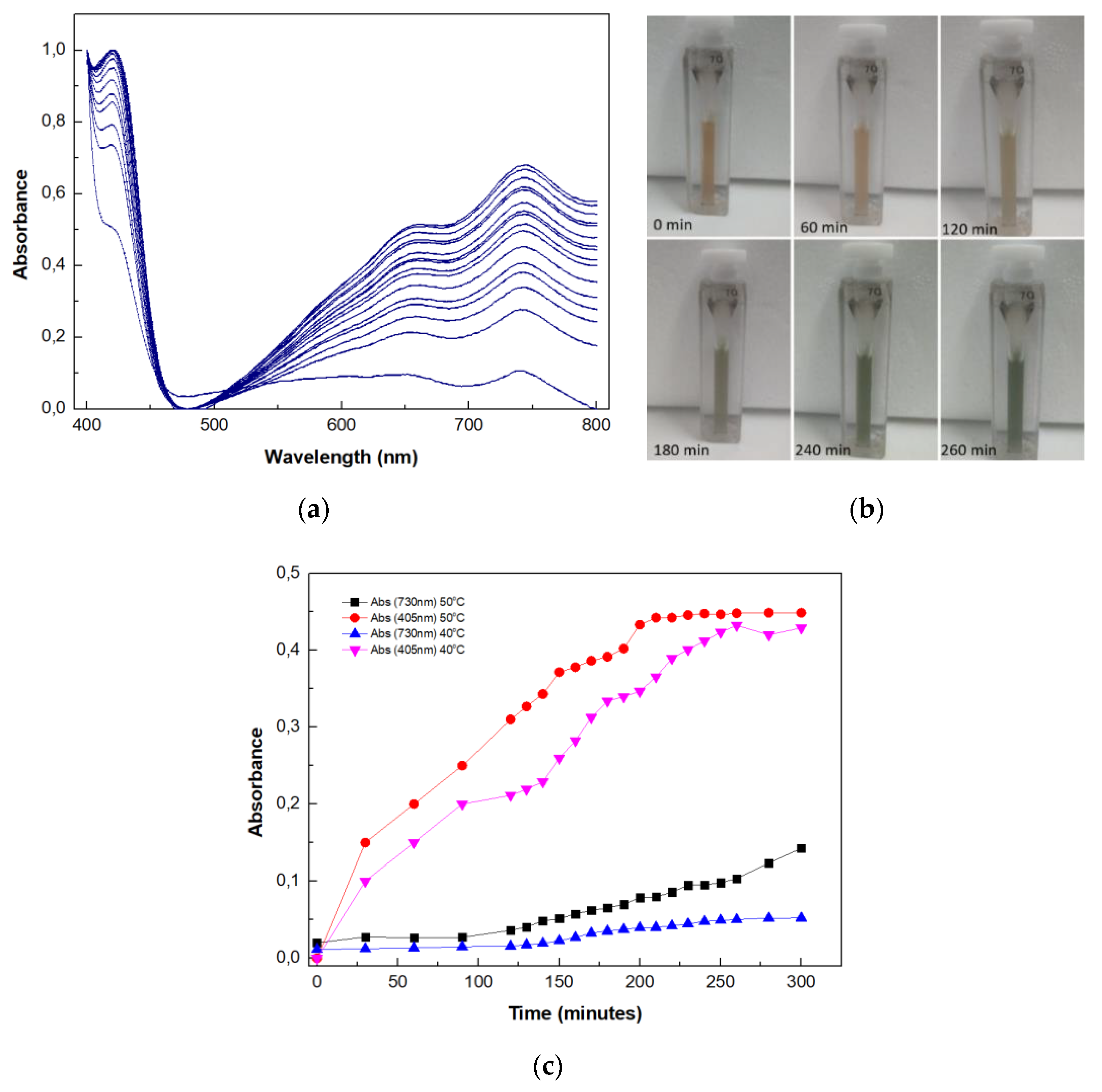 Catalysts 09 00995 g008